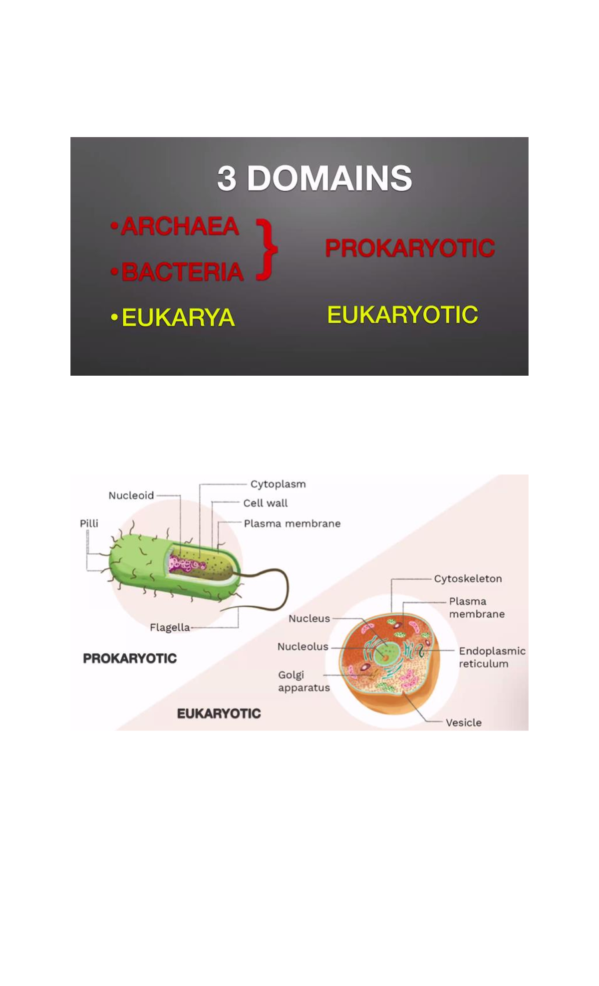 Science Biology - Biological Engineering - Studocu