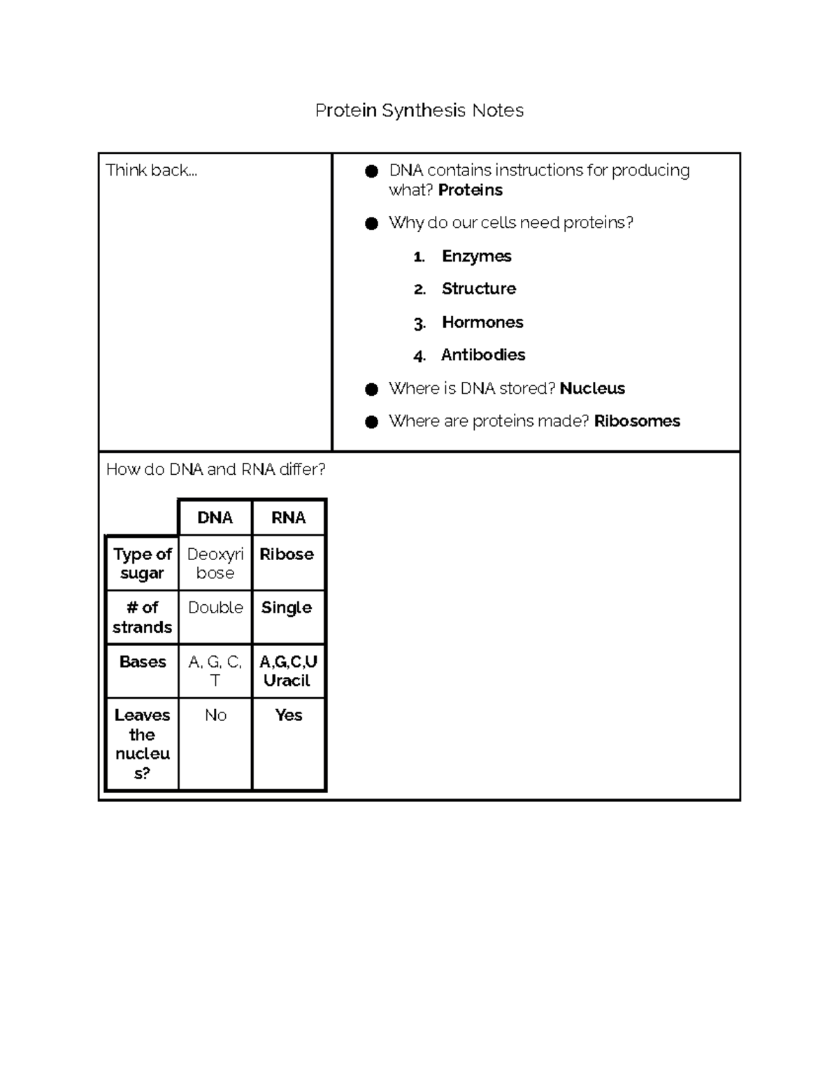 Protein Synthesis Notes - Protein Synthesis Notes Think back... DNA ...