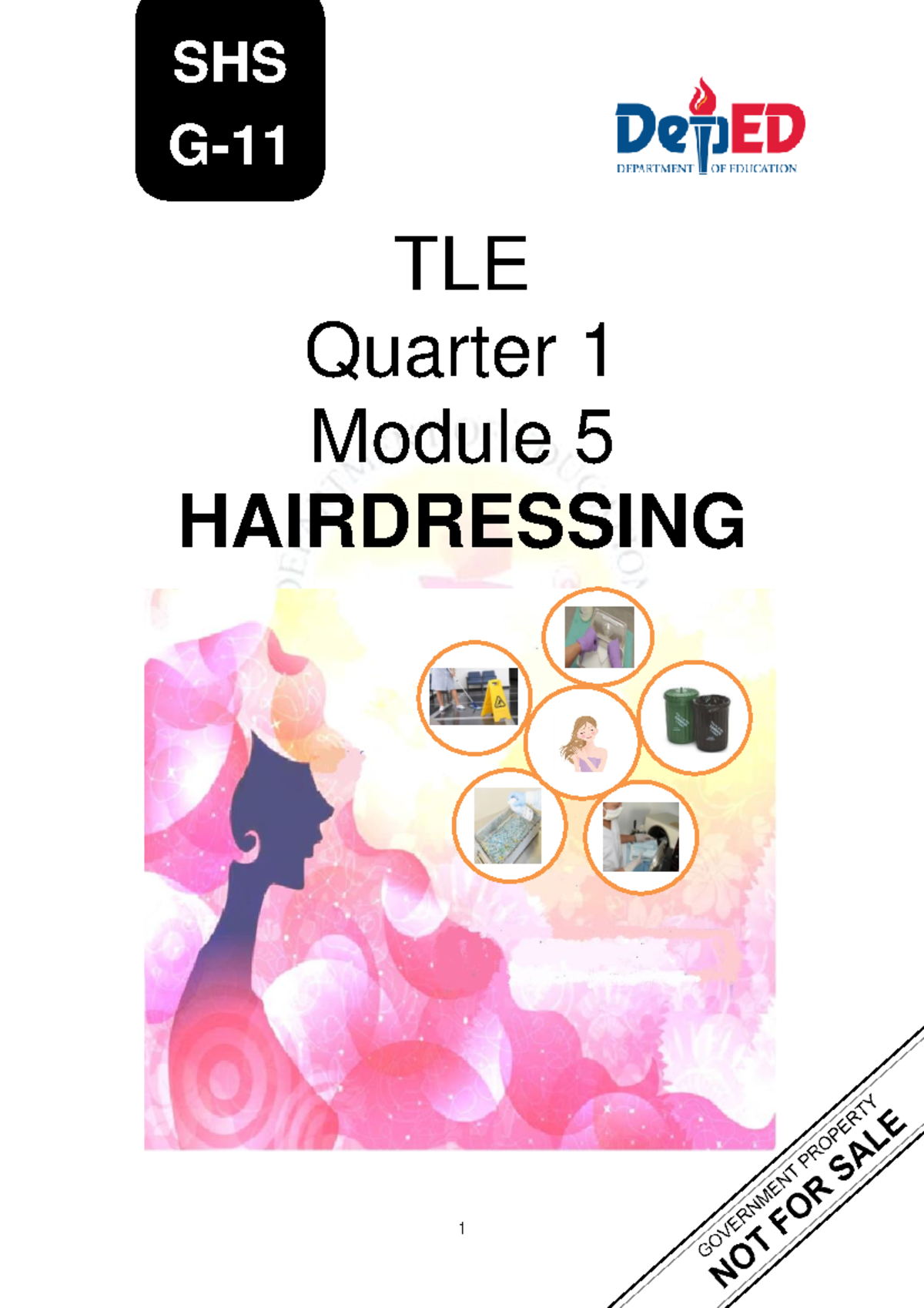 TLW HE Hairdressing NCII Module 5 Perform POST Service Activities SHS