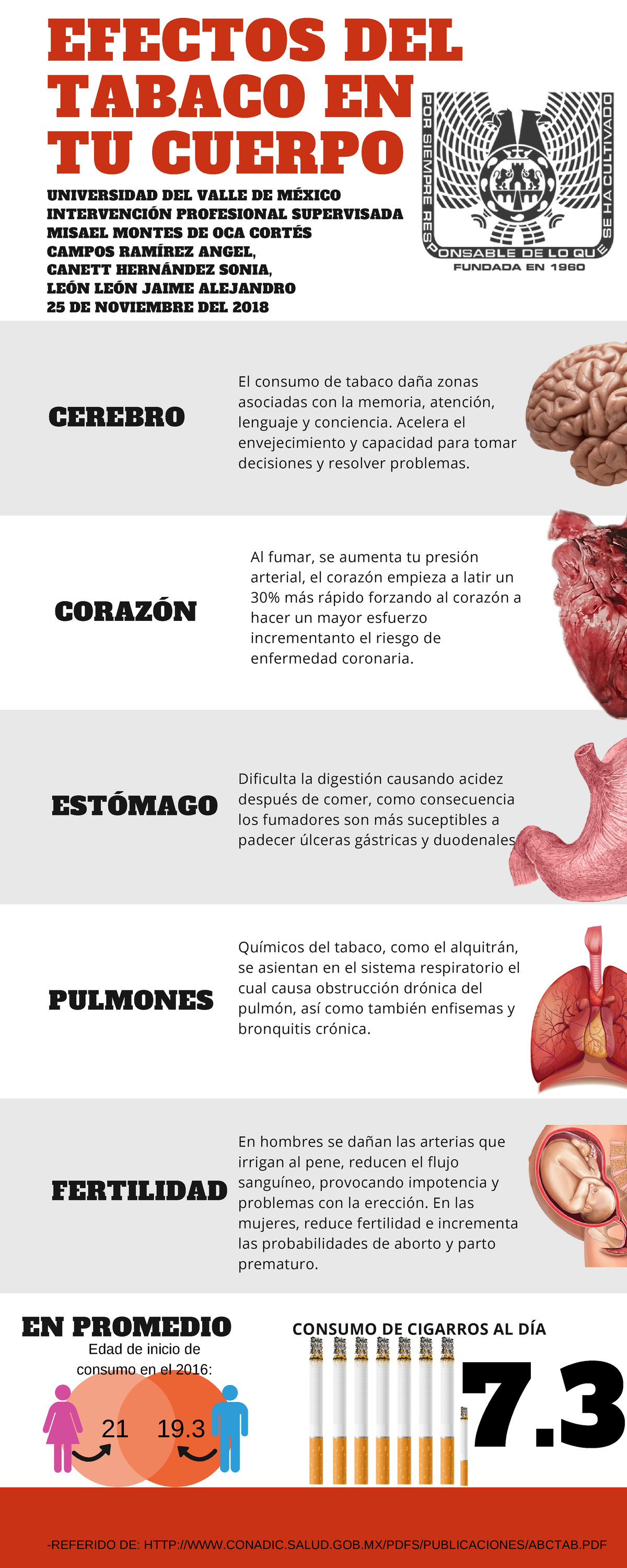 Efectos del tabaco en tu cuerpo - EFECTOS DEL TABACO EN TU CUERPO ...