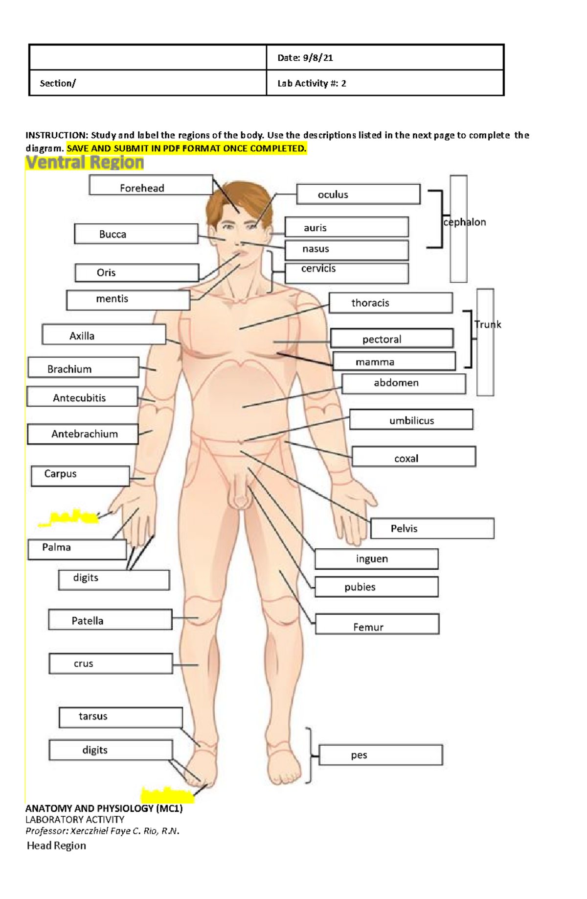 Prelim - LAB Avtivity 2 ( Editable) - Date: 9/8/ Section/ Lab Activity ...