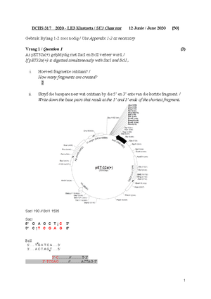 Replacement+Test+Python Instructions - Page 1 of 3 Replacement test ...