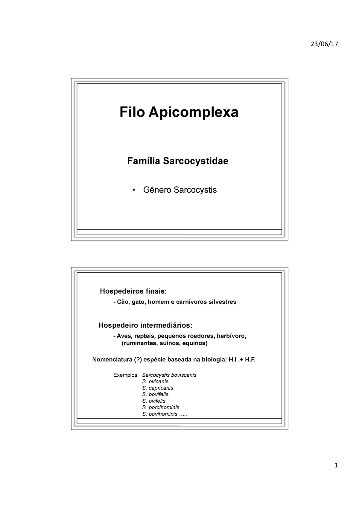 PDF Sarcocystis Slides de aula de parasitologia veterinária dada pela professora Lucia Cury