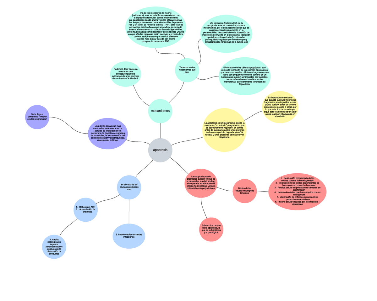 Mapa Mental - Apunte Completo - Apoptosis La Apoptosis Es Un Mecanismo ...