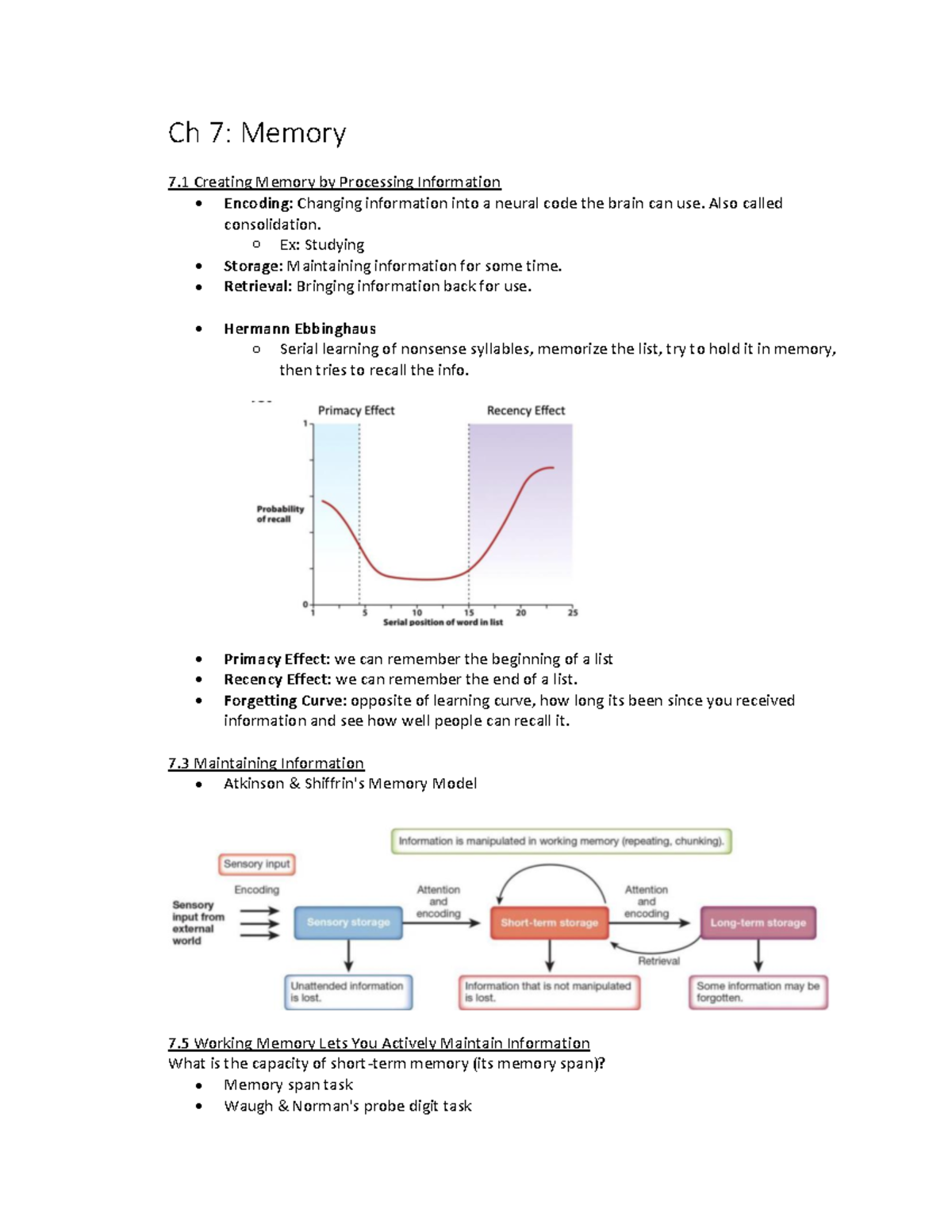 Psych.Memory.Psych1000 - Ch 7: Memory 7 Creating Memory By Processing ...