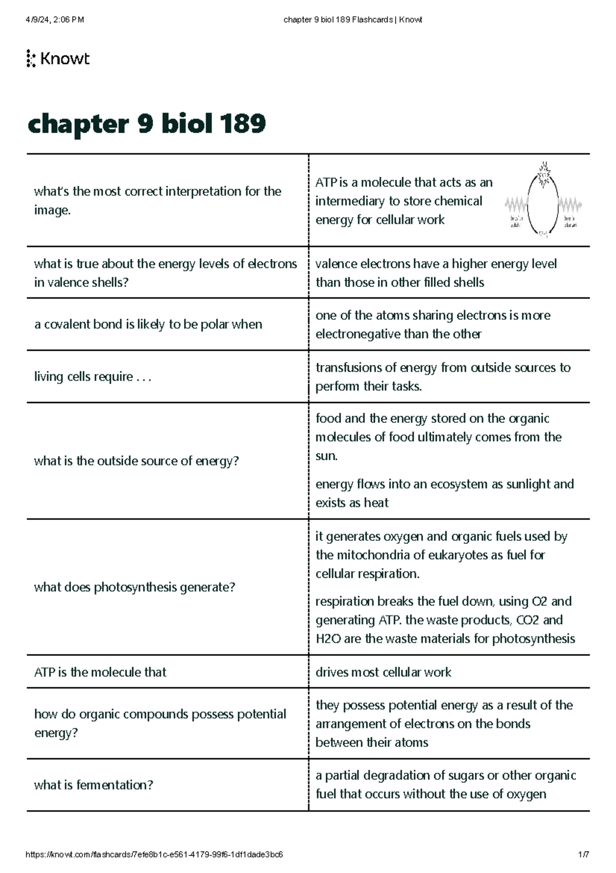 Chapter 9 Biol 189 Flashcards Knowt - Chapter 9 Biol 189 What’s The ...