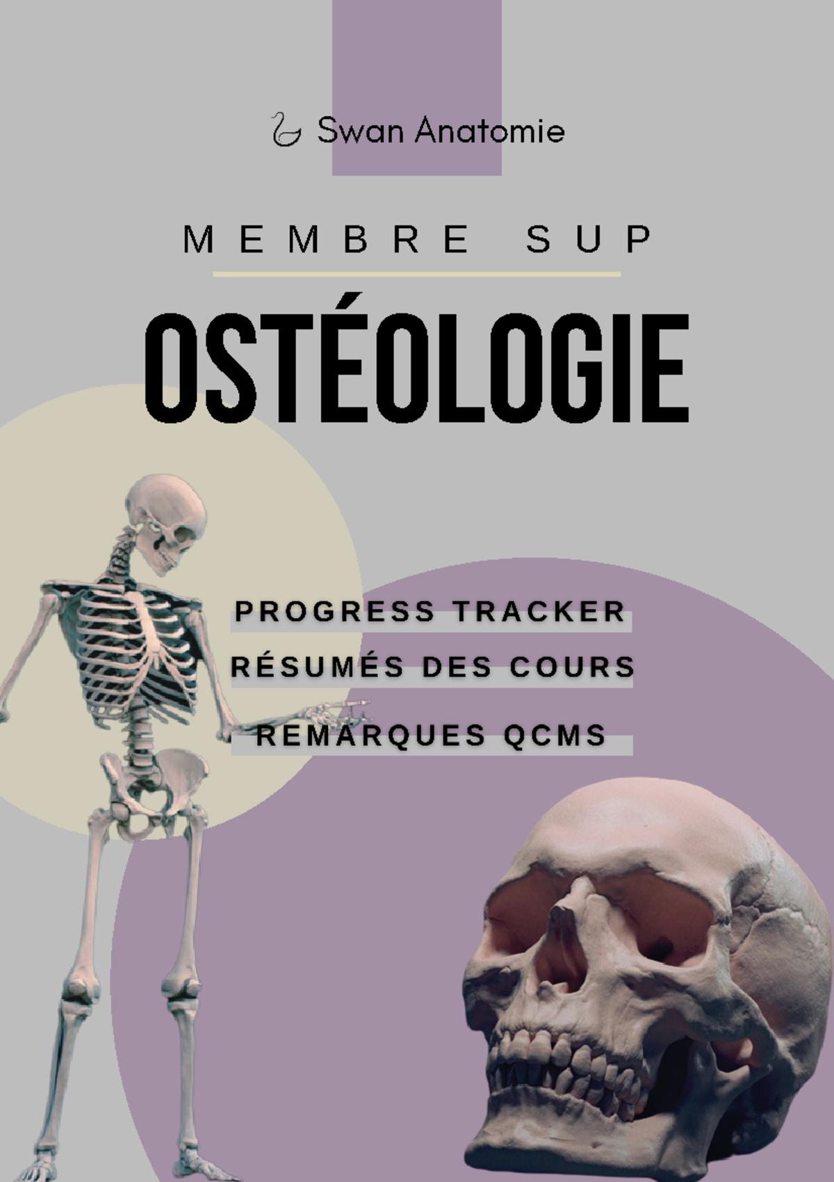 SWAN ostéologie du MS - Summary Anatomie - oSTÉOLOGIE M E M B R E S U P ...