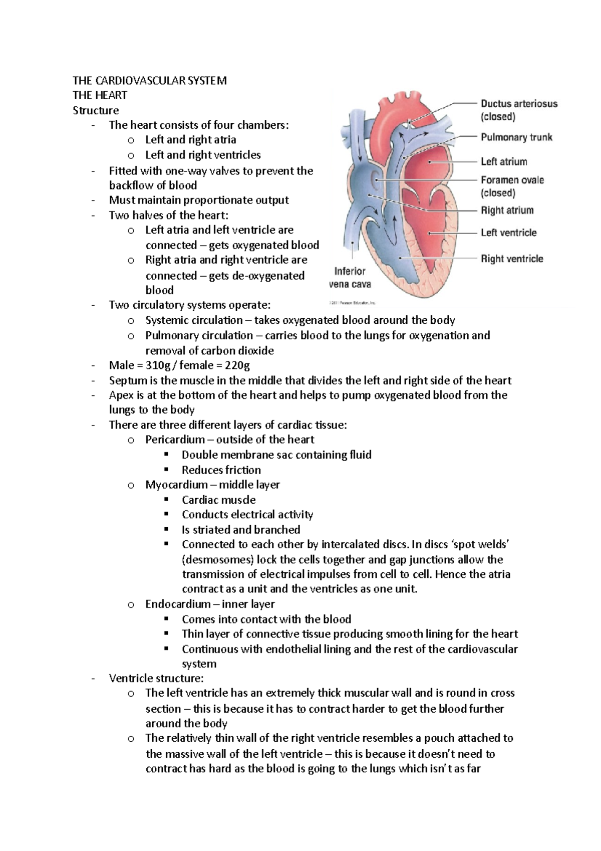 THE Cardiovascular System - MEDO409 - LBU - Studocu