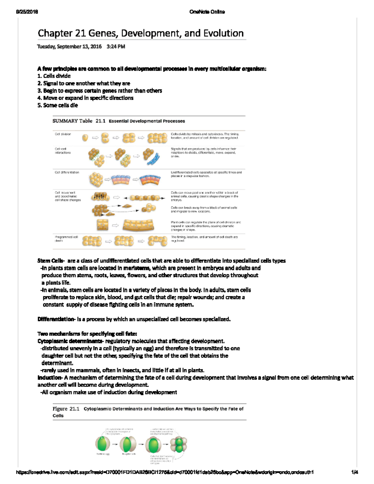 Ch21 Genes, Devolopment, and Evolution - 9/25/2018 OneNote Online ...