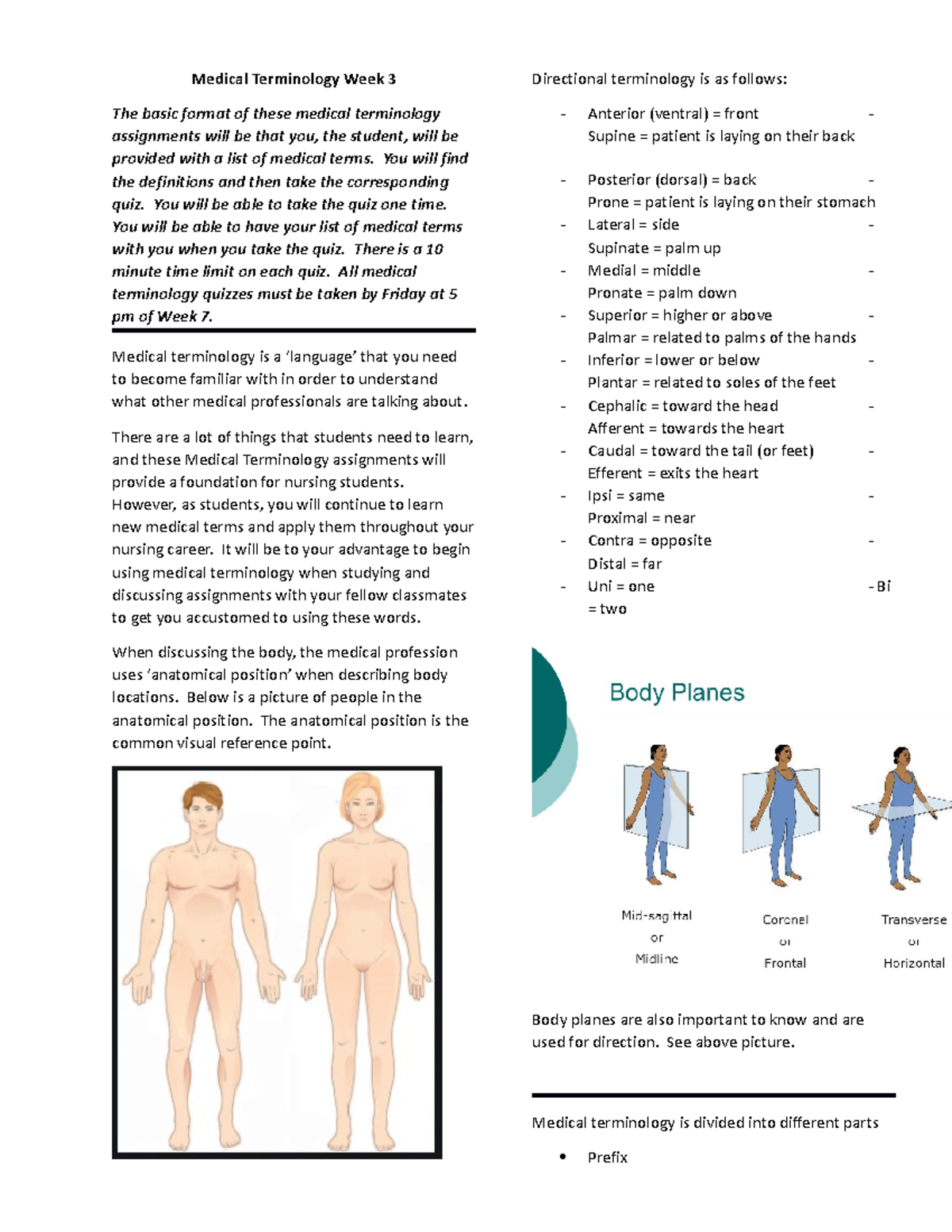 NR 302 Med Term Week 3 Heent - Medical Terminology Week 3 The basic ...