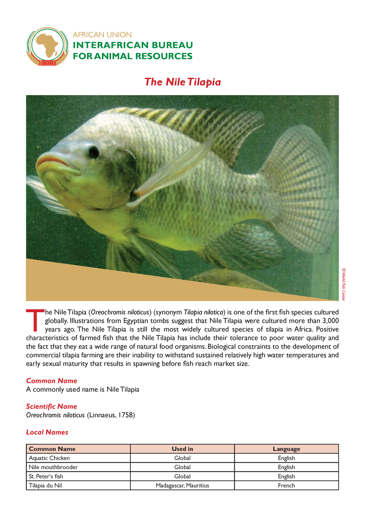 2015 0607 kya nile tilapia june 2015 enPl. Law - Political Law 