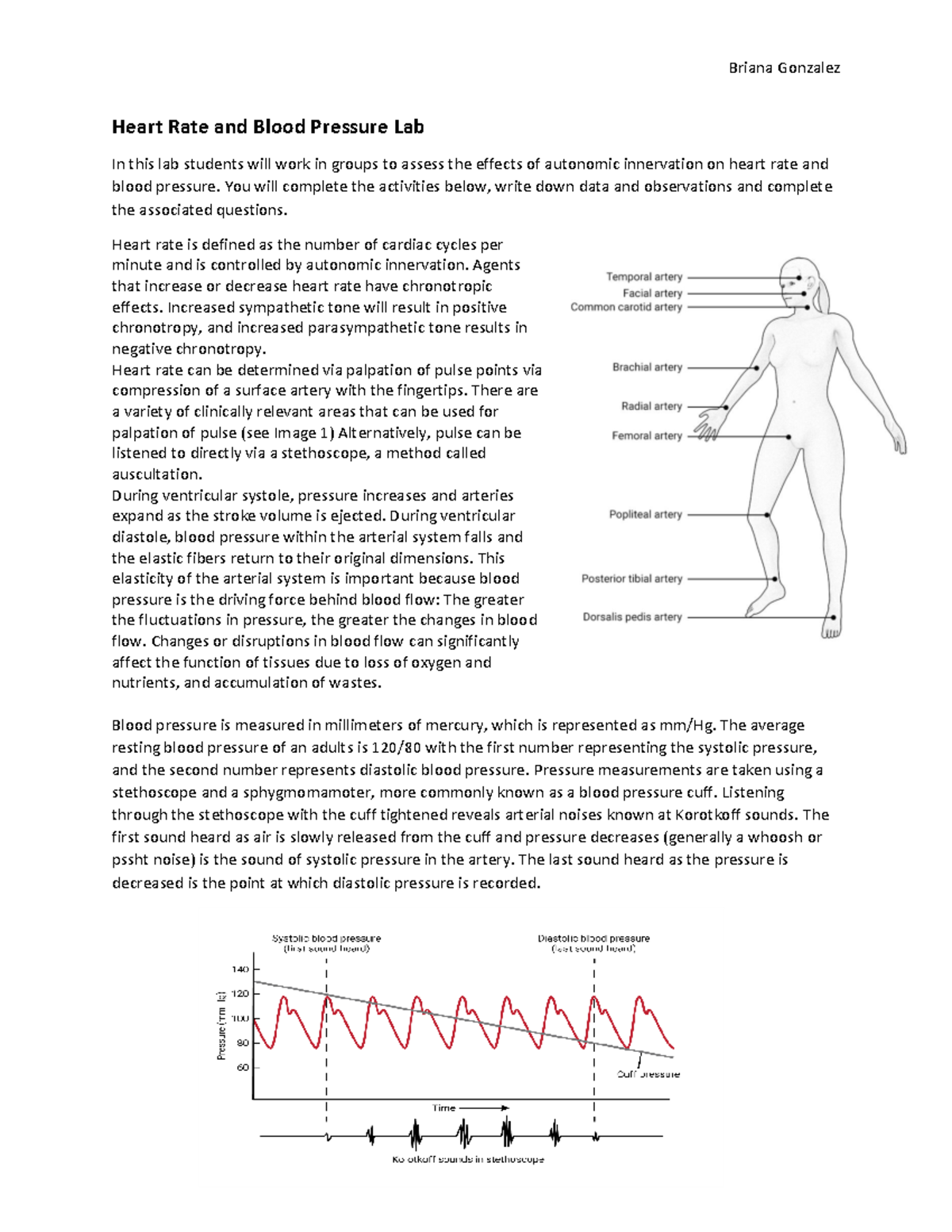 bio-211l-rs-activity-2heart-rate-and-blood-pressure-lab-heart-rate