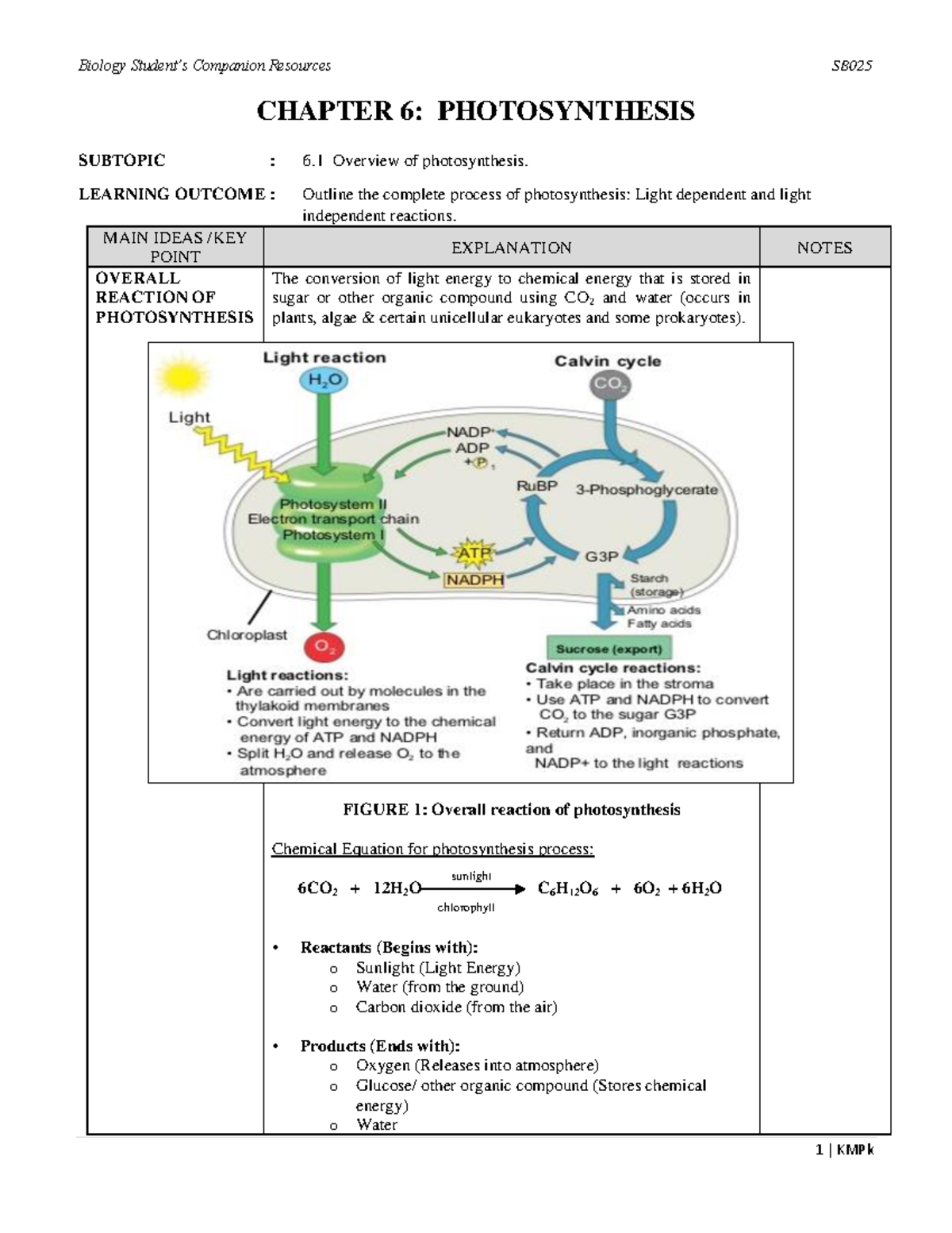 6. Photosynthesis - Notes - CHAPTER 6: PHOTOSYNTHESIS SUBTOPIC : 6 ...