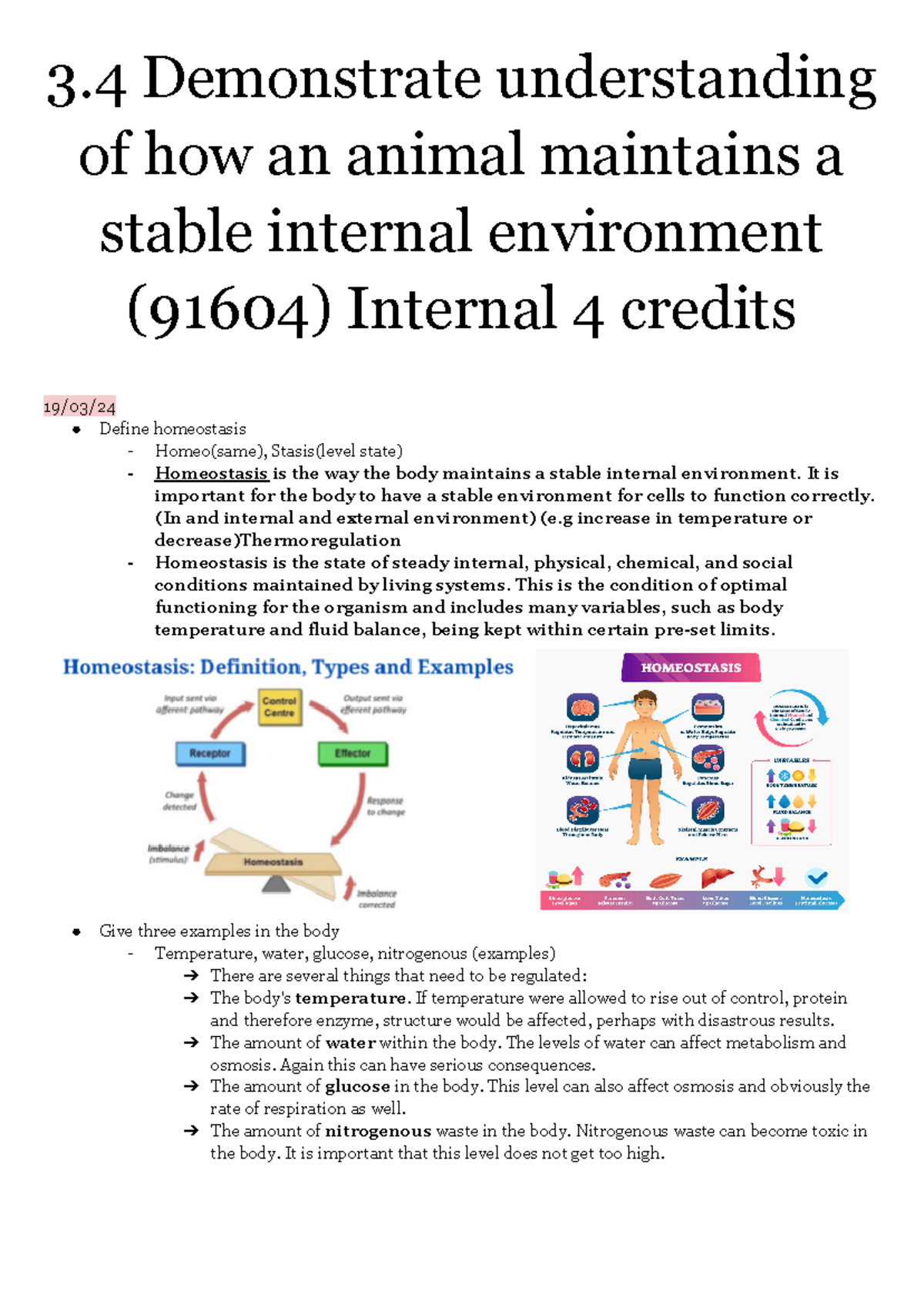 Biology Notes Homeostasis 2024 3 Demonstrate Understanding Of How An   Thumb 1200 1694 