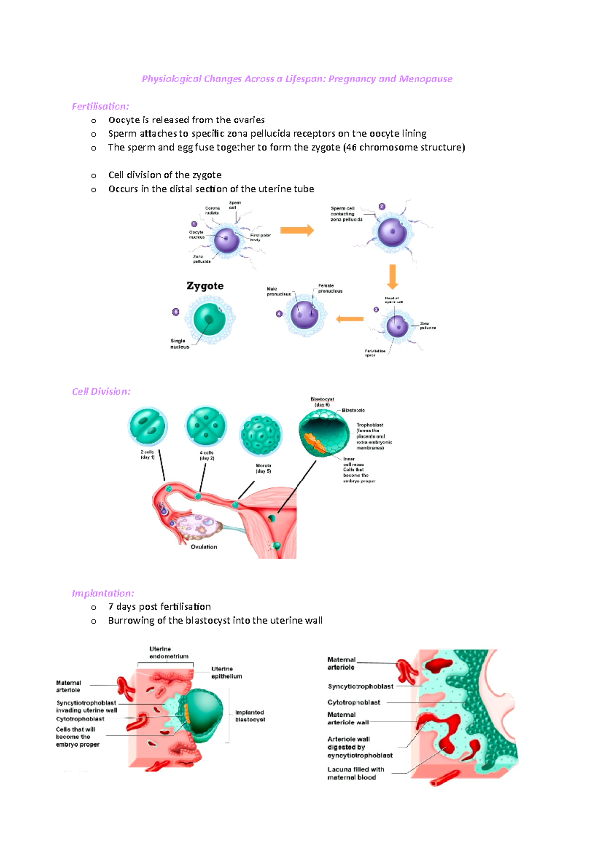 Physiological Changes - Pregnancy and Menopause - Physiological Changes ...