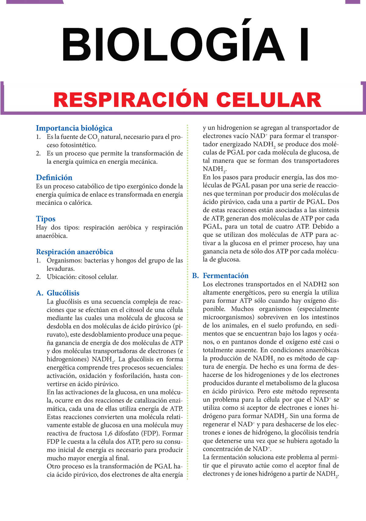 ubicación de la respiración celular