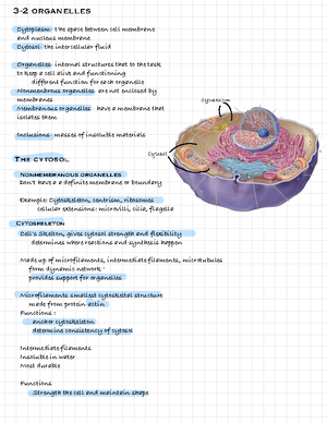 52 Examples Of Physiology And Anatomy - Definition Of Anatomy And ...