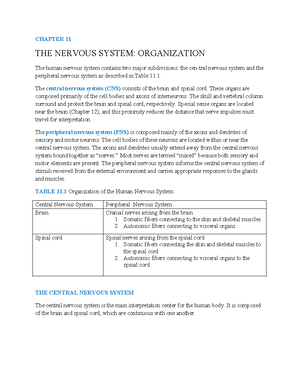 10. THE Nervous System Basic Structure AND Function - CHAPTER 10 THE ...