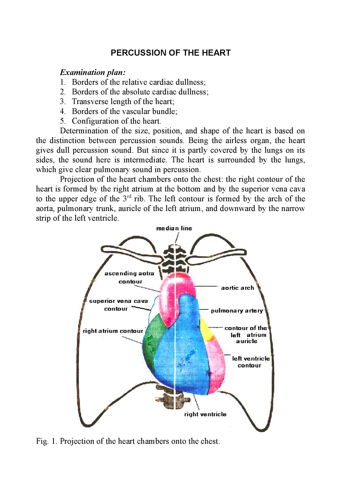 Topic 10 CVS - CVS - PERCUSSION OF THE HEART Examination plan: Borders ...