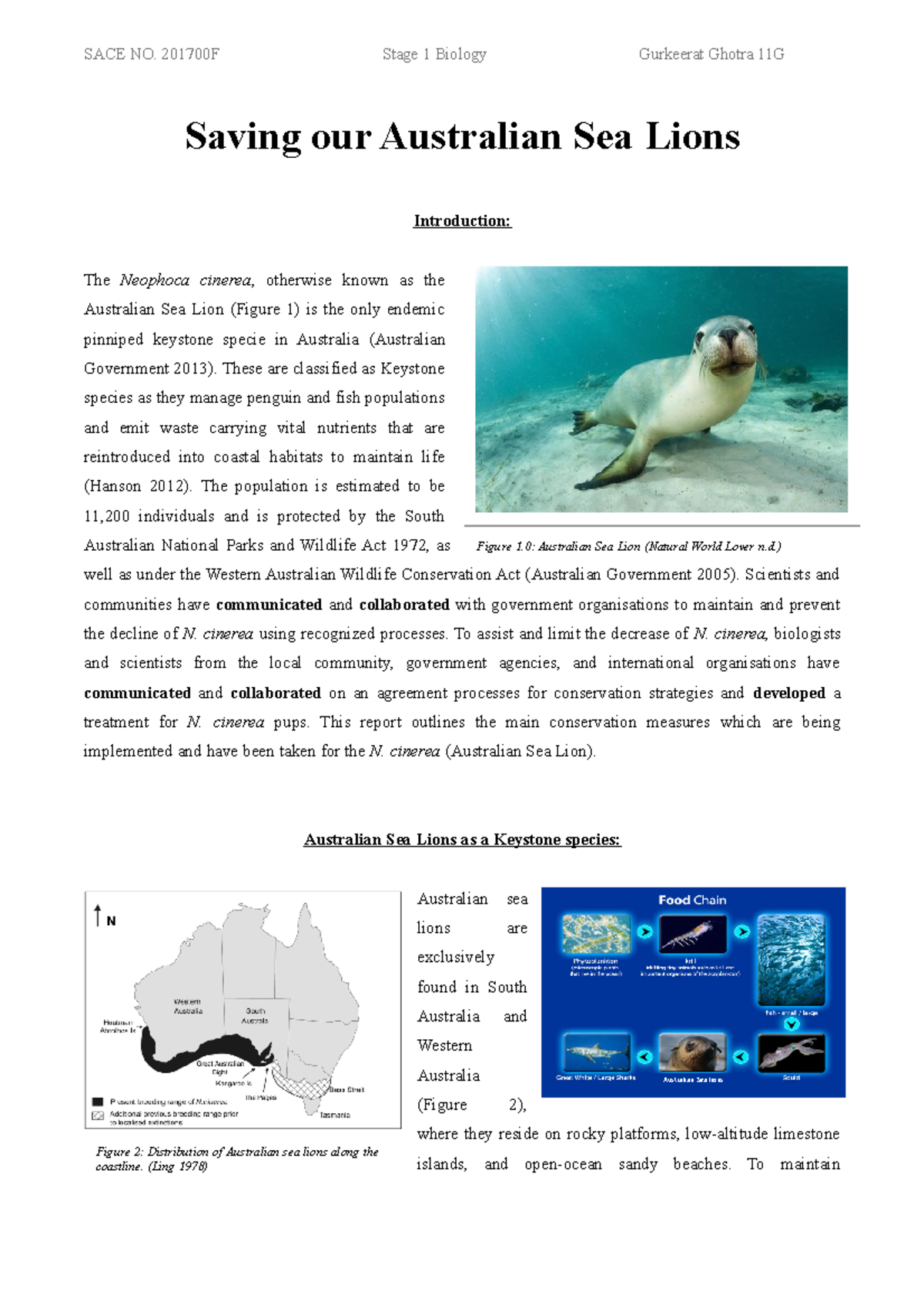 Bio SHE task on keystone species - Keerat - Saving our Australian Sea