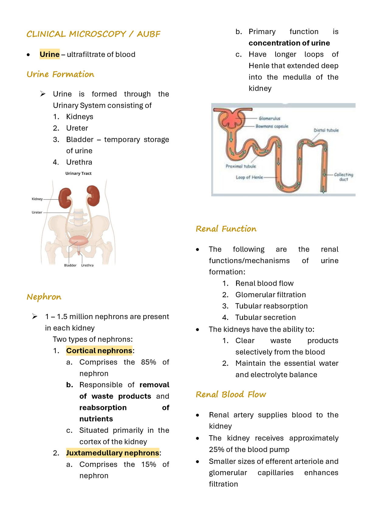 Clinical Microscopy - AUBF notes - CLINICAL MICROSCOPY / AUBF Urine ...