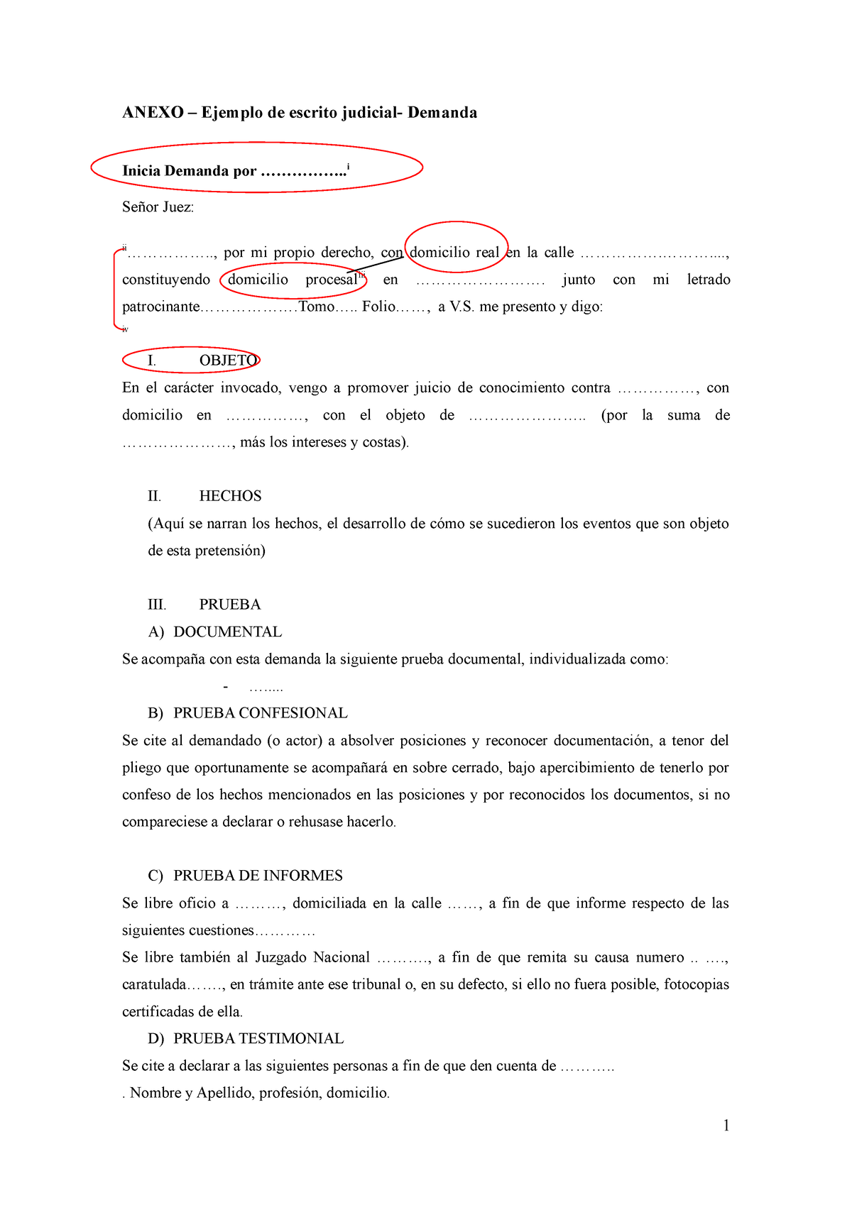 Demanda Modelo Anexo - ANEXO – Ejemplo De Escrito Judicial- Demanda ...