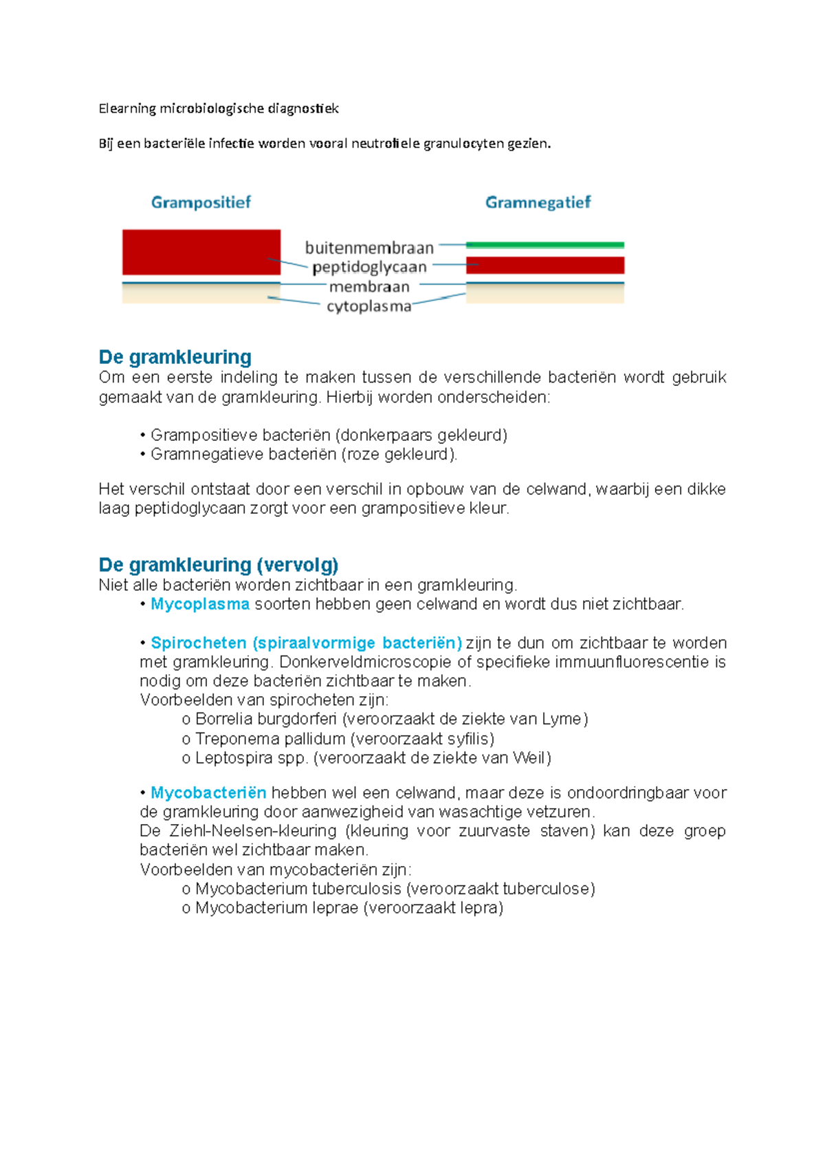 Elearning Microbiologische Diagnostiek - De Gramkleuring Om Een Eerste ...