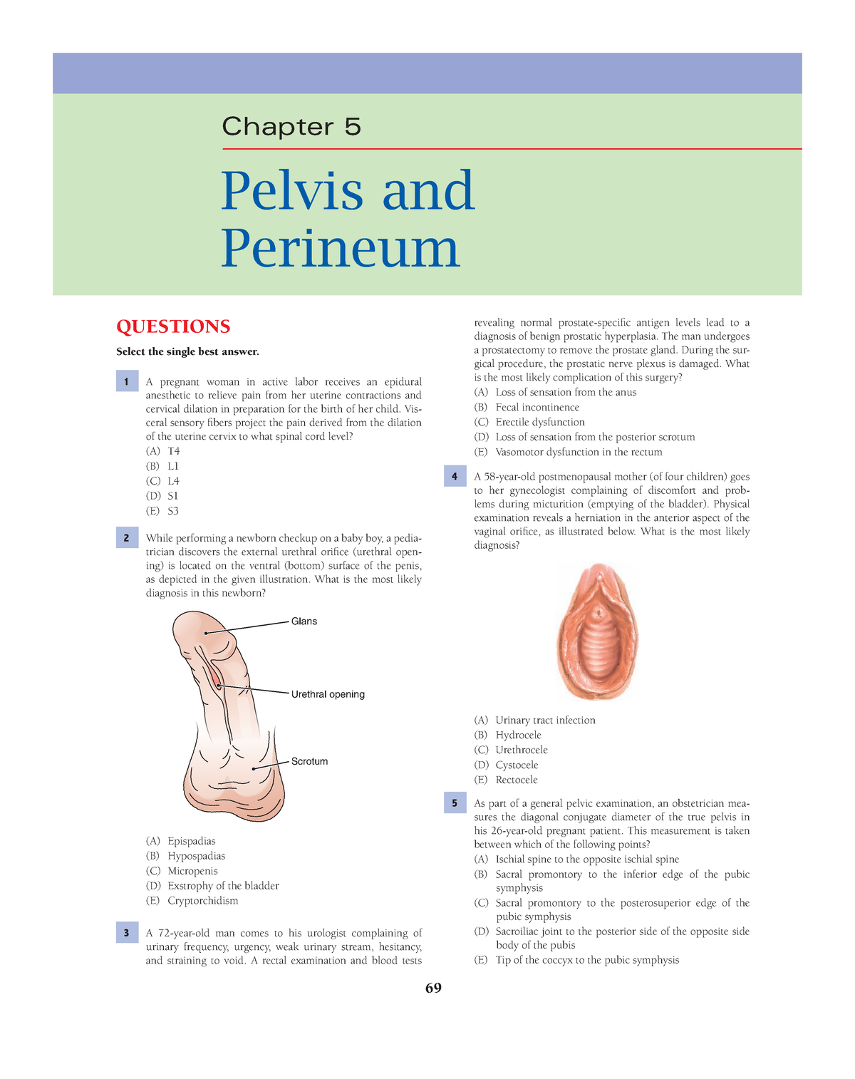 lippincotts illustrated q&a review of anatomy and embryology free download