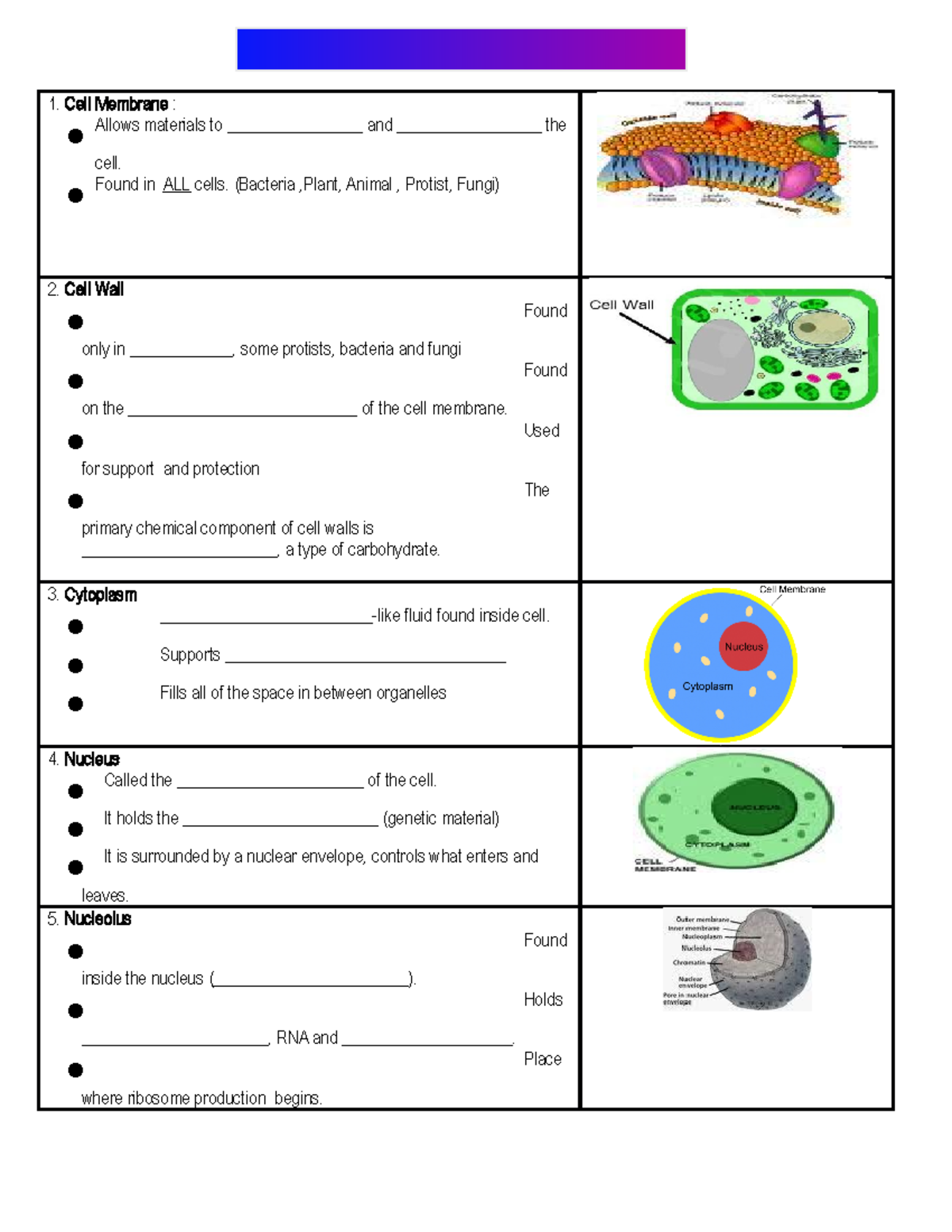 Cell Organelle Fill In Notes - Cell Membrane : Allows materials to ...