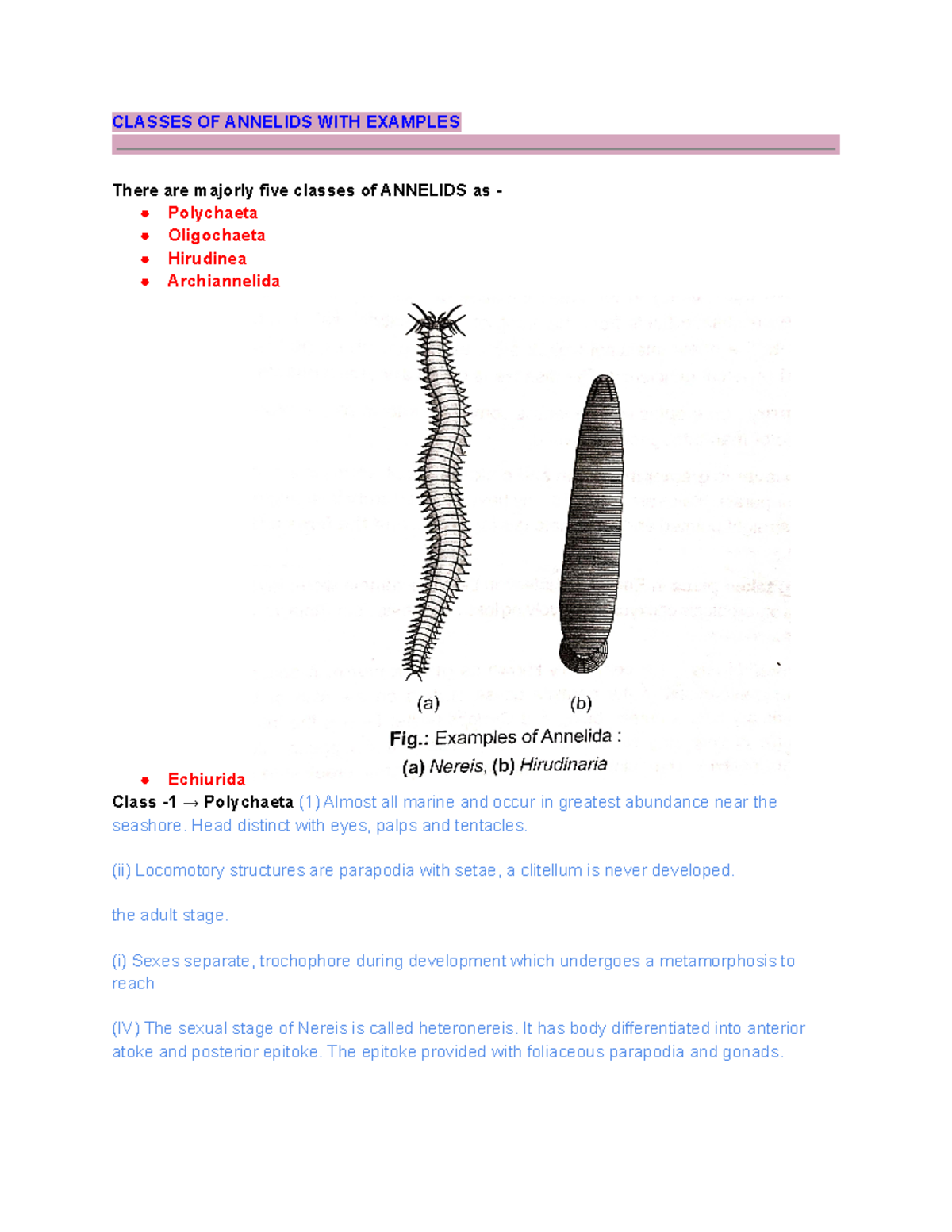 Classes of Annelids characteristics of Polychaeta , hirudinaria CLASSES OF ANNELIDS WITH
