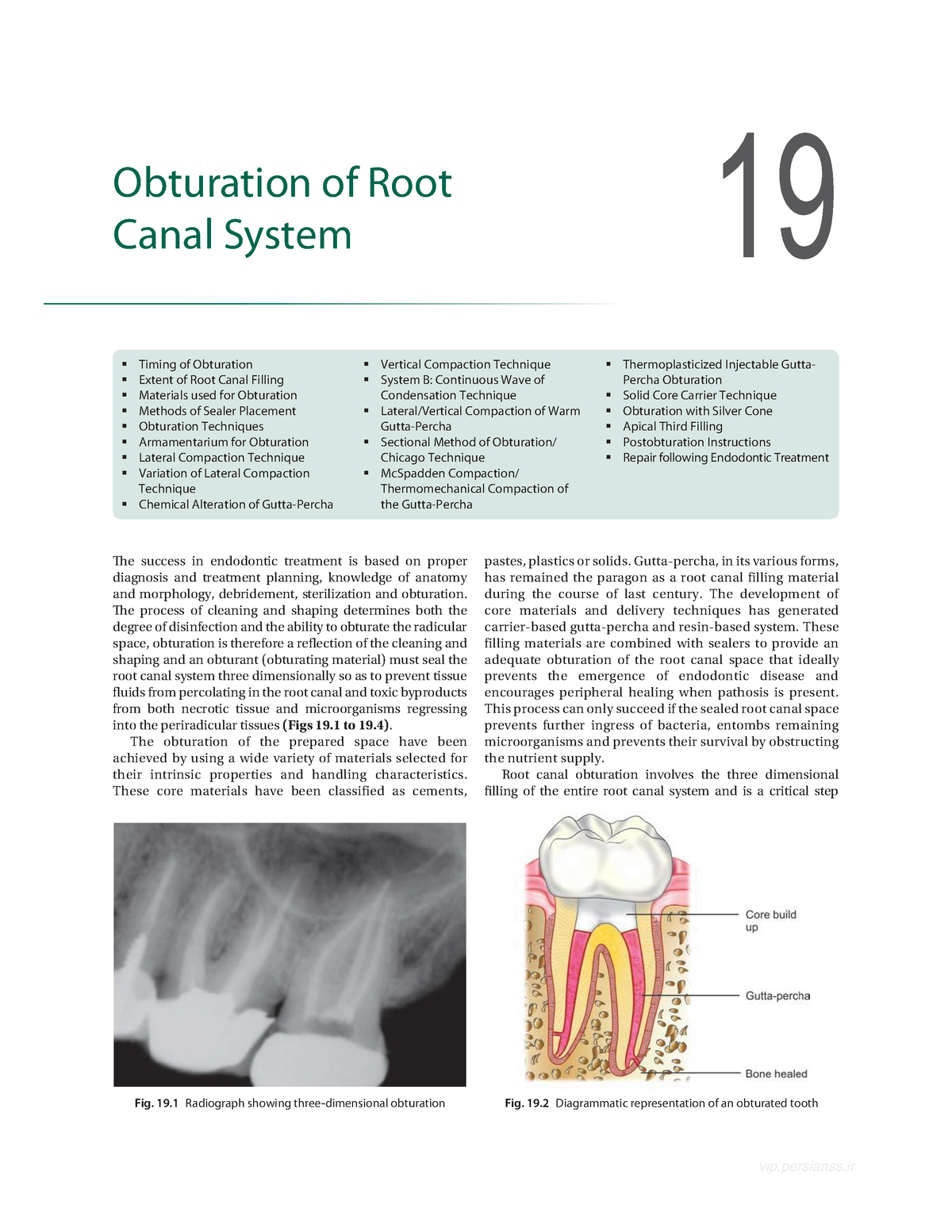 college essay guy endodontics essay