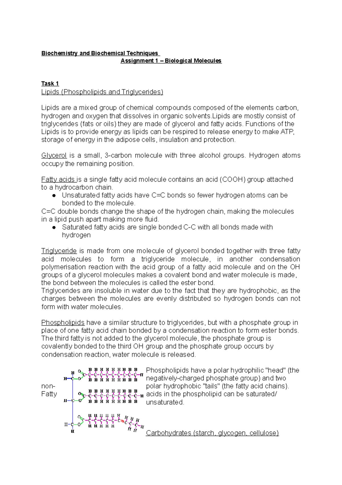 biological molecules assignment