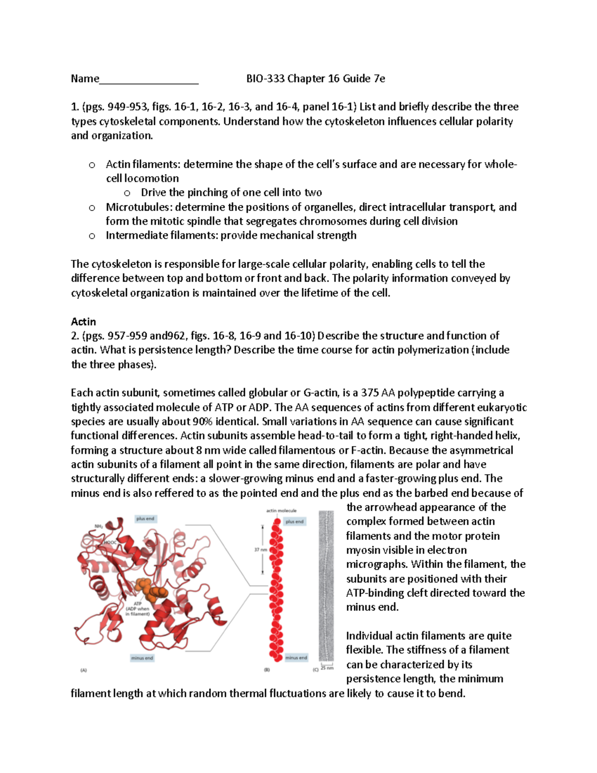 BIO333 Chapter 16 SG - Study guide - Name_________________ BIO-333 ...