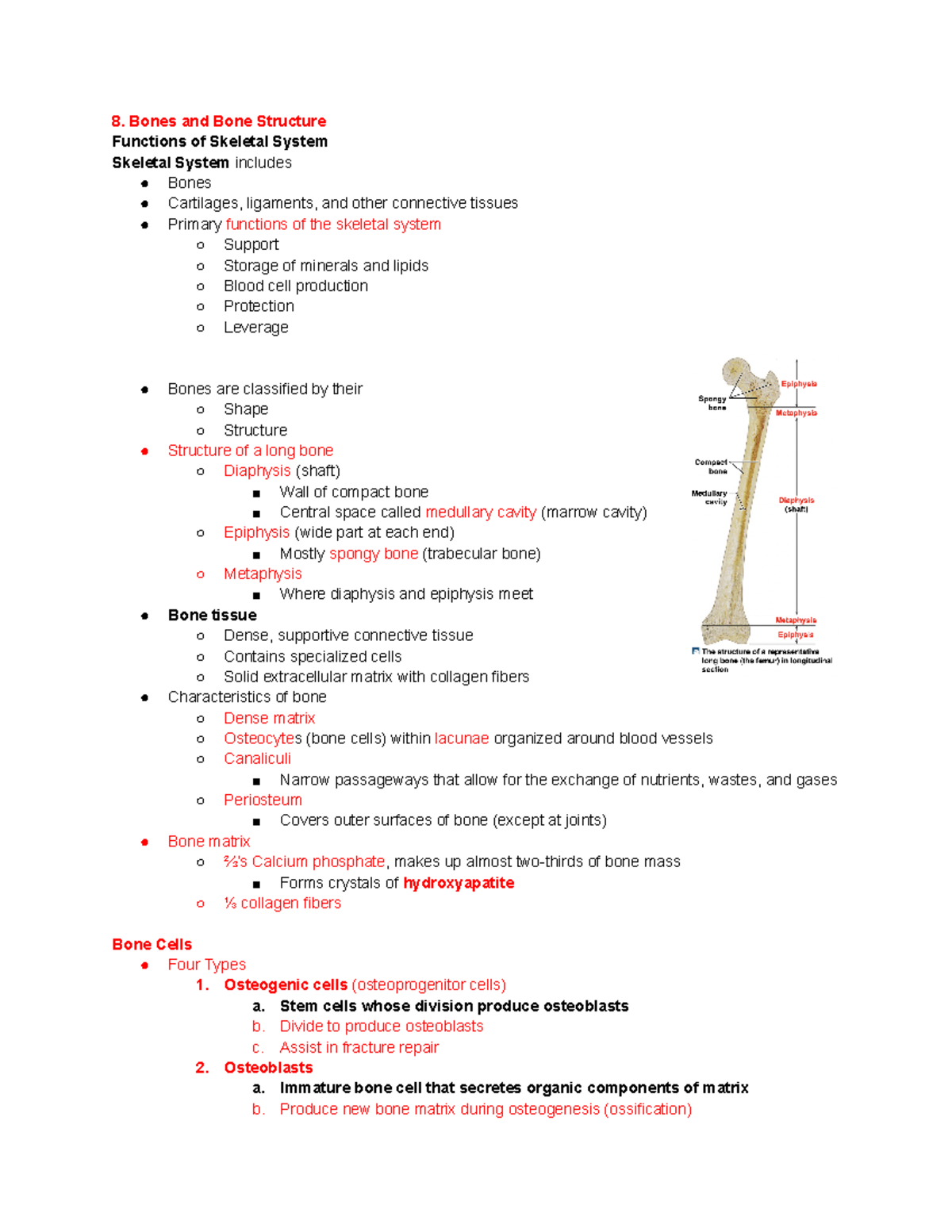 Chapter 8: Bones and Bone Structure - Bones and Bone Structure ...