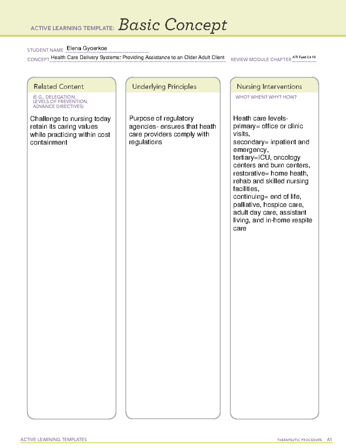 Health Care Delivery Systems Providing Assistance to an Older Adult ...