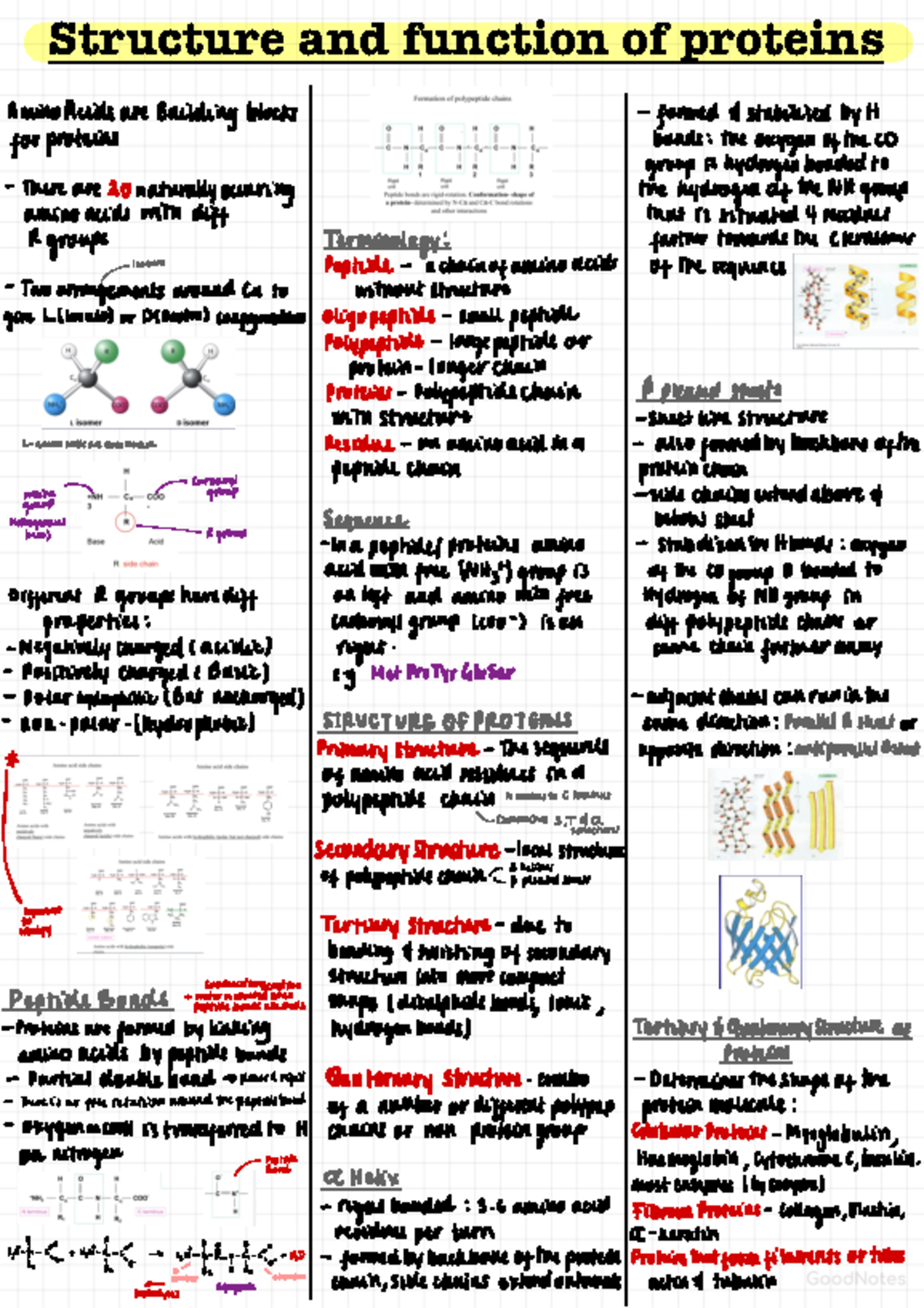 4. Structure and function of proteins Structure and function of