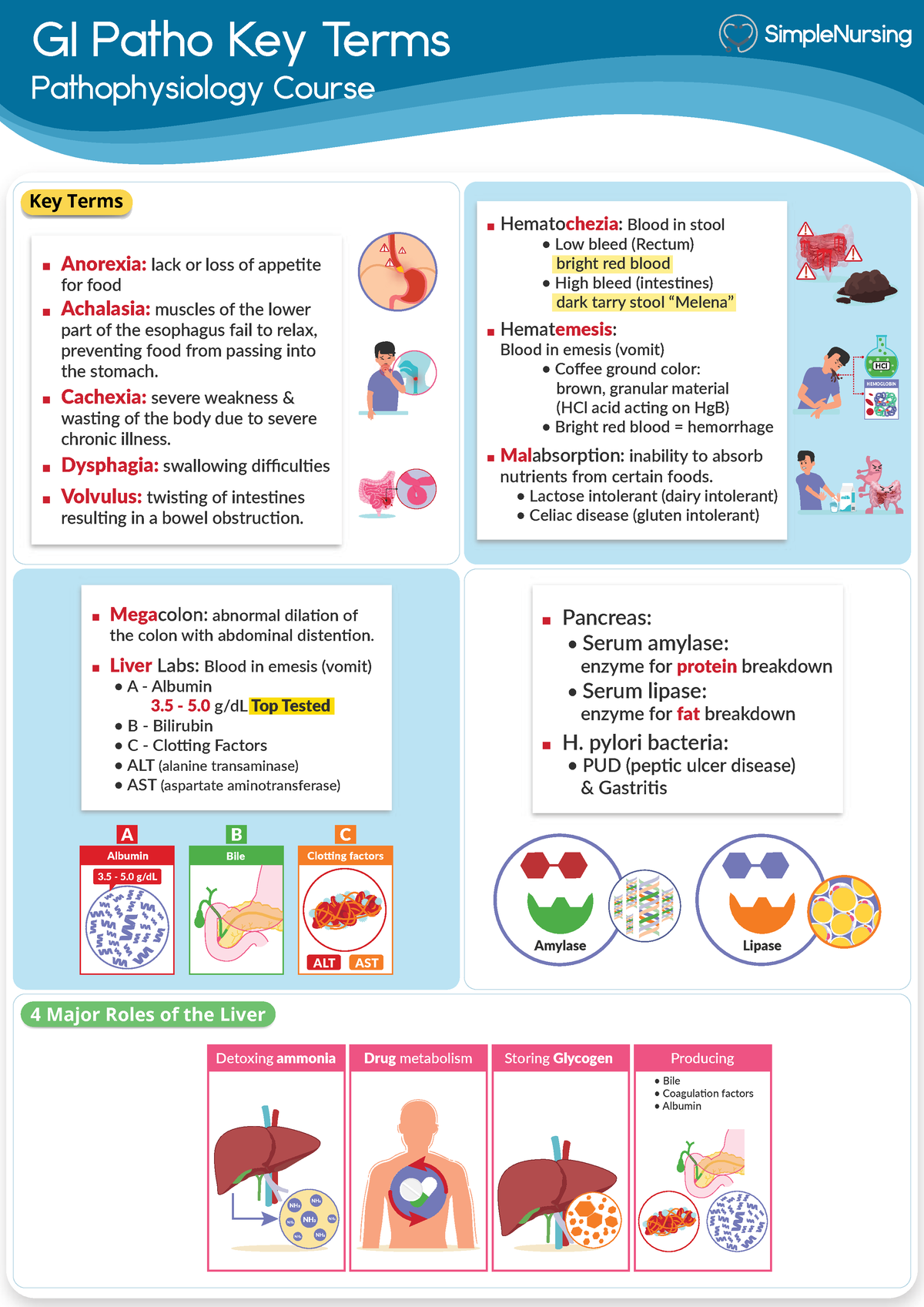 1. Gi Patho Key Terms - Gi Patho Key Terms Pathophysiology Course 