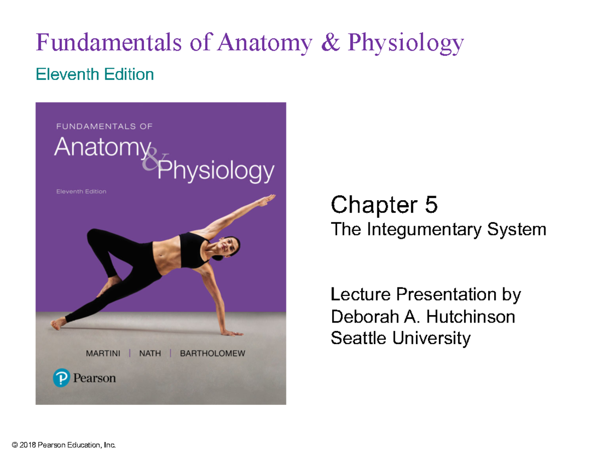 Fap11 ch05 lecture presentation - Fundamentals of Anatomy & Physiology ...