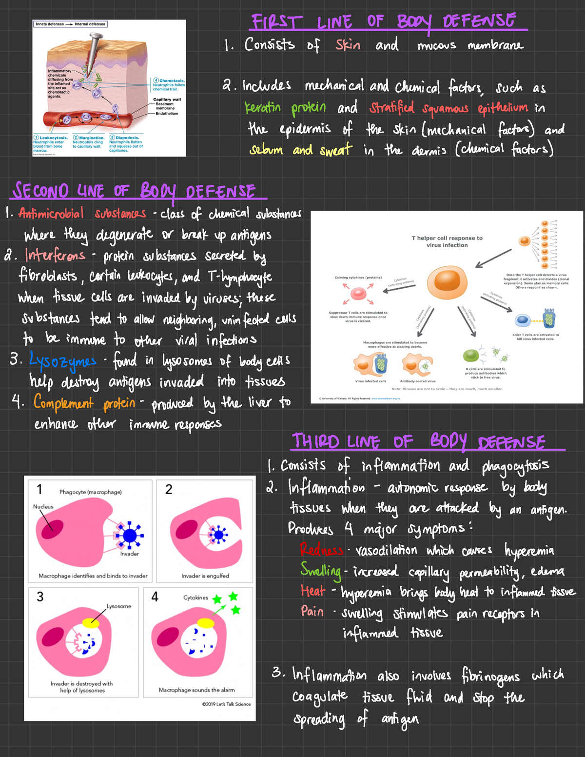 First, Second, and Third Line of Body Defense - FIRST LINE OF BODY ...