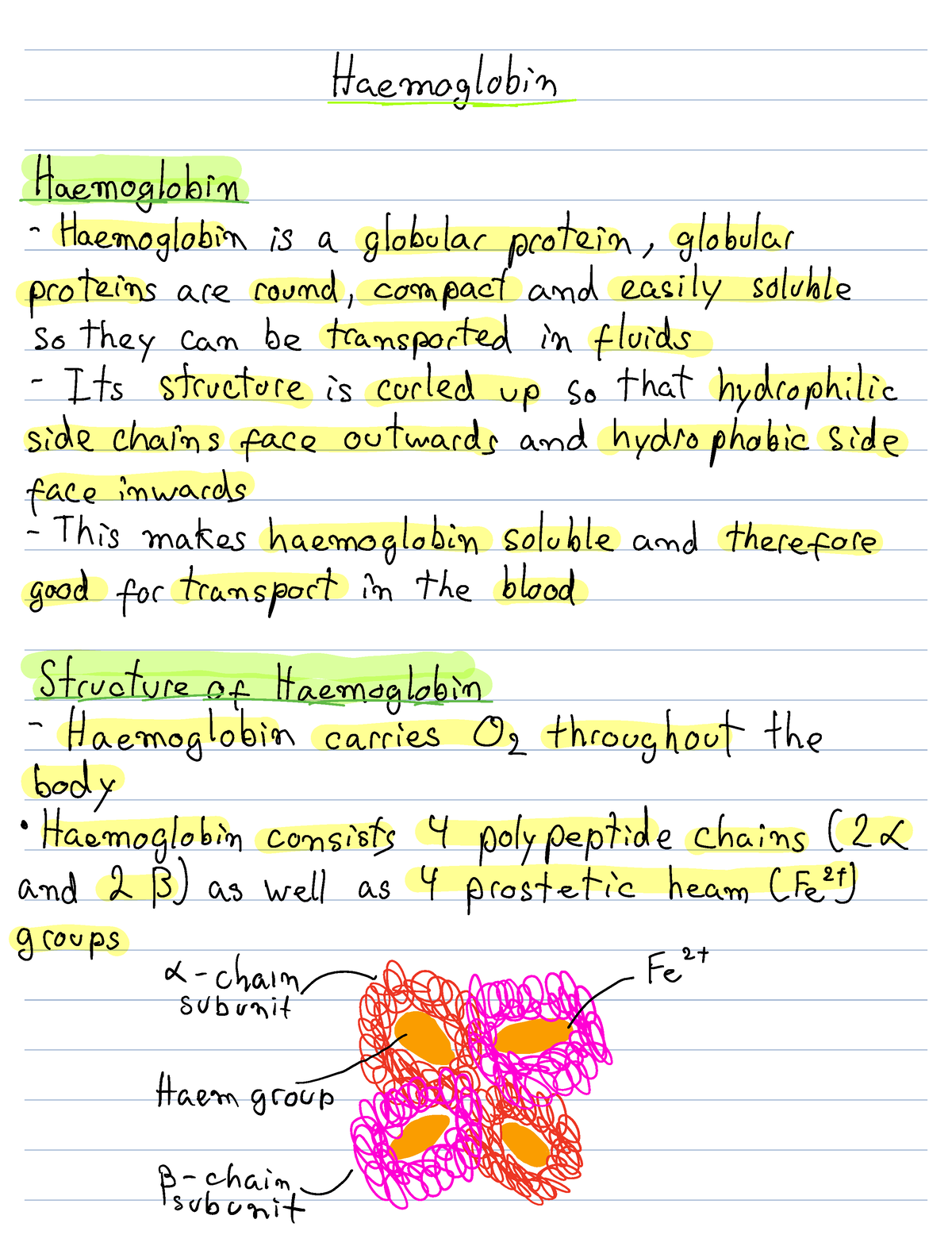 7-1-7-2-haemoglobin-pp-hae-mabin-hemoglobin-haemoglobin-is-a