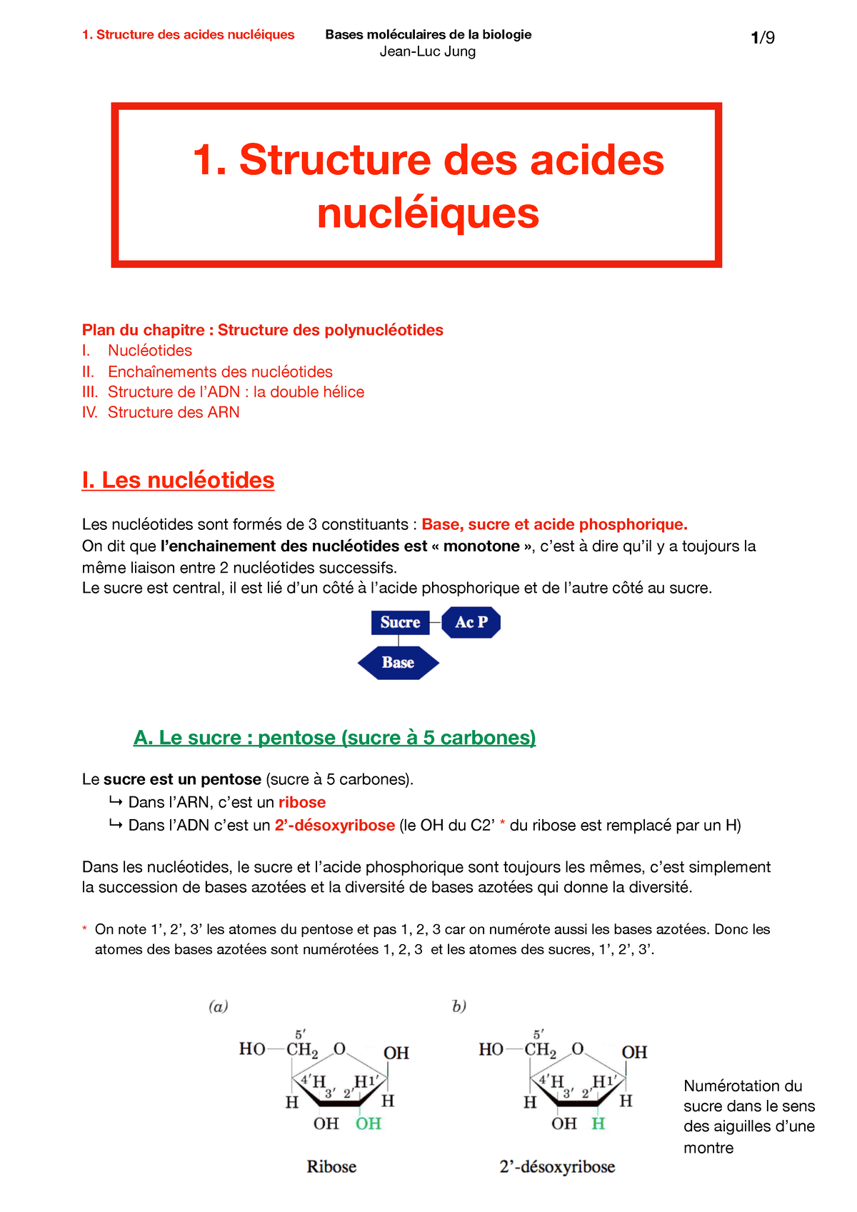 1. Structure Des Acides Nucléiques - Jean-Luc Jung 1 / 9 1. Structure ...