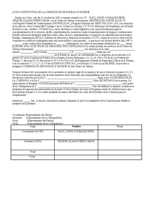 5.1 ACTA DE Constitución DE LA CSH Primera - ACTA CONSTITUTIVA DE LA ...