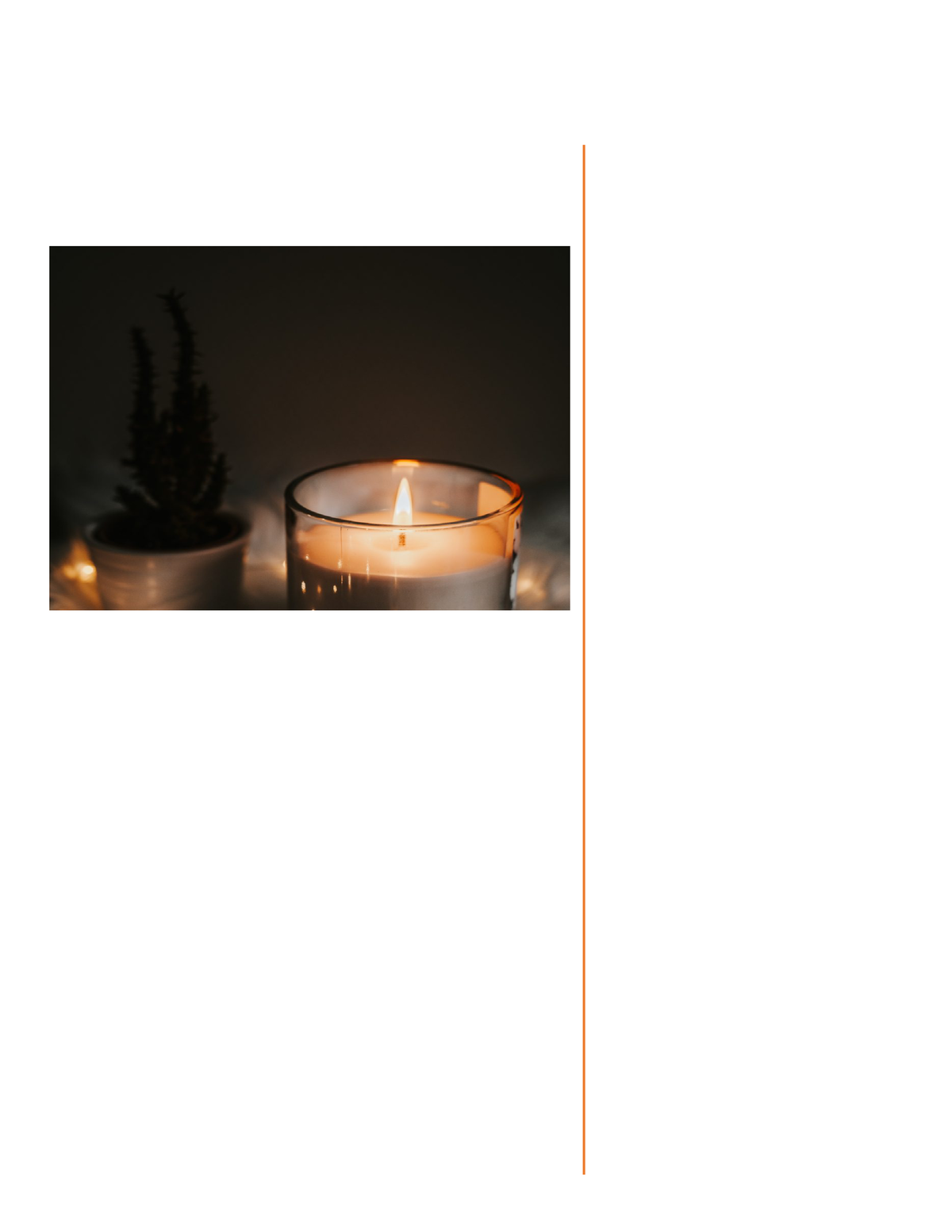 Flamemakers CO Scented Candles Business PLAN 1. Executive Summary Flamemakers Co. will be