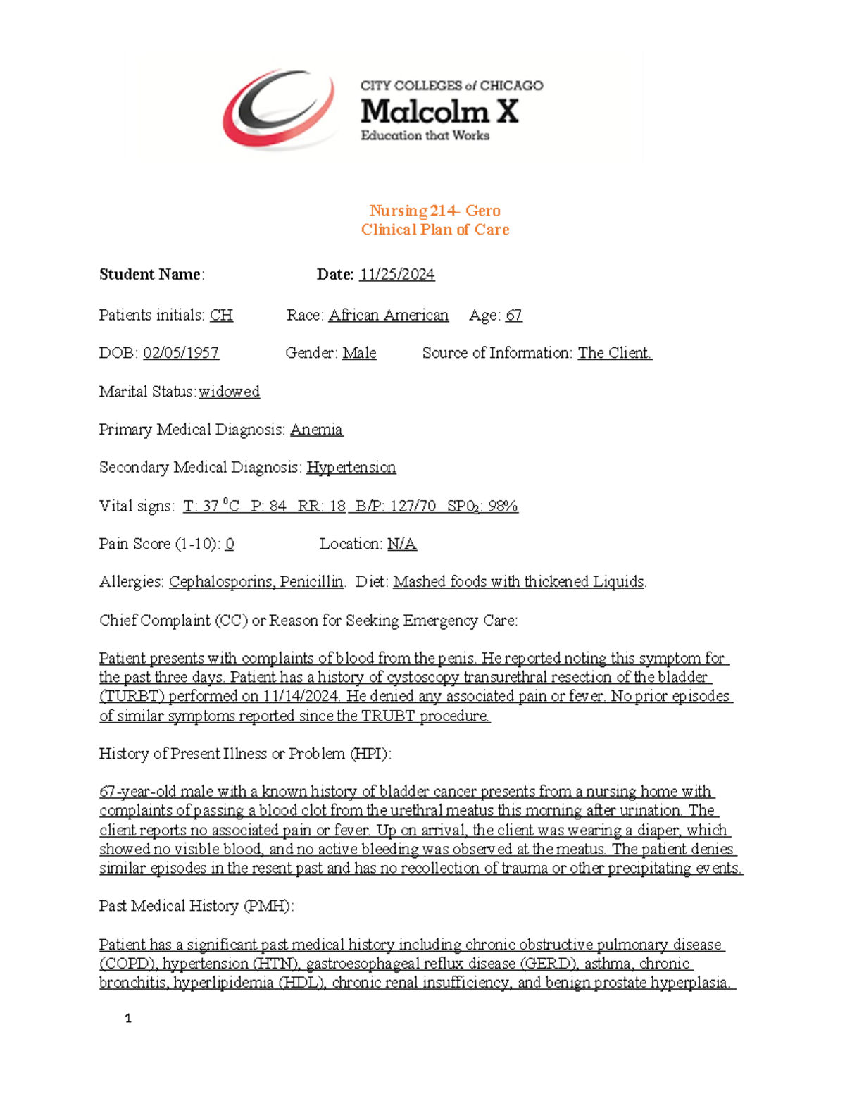 Great One - Nursing 214- Gero Clinical Plan of Care Student Name: Date ...