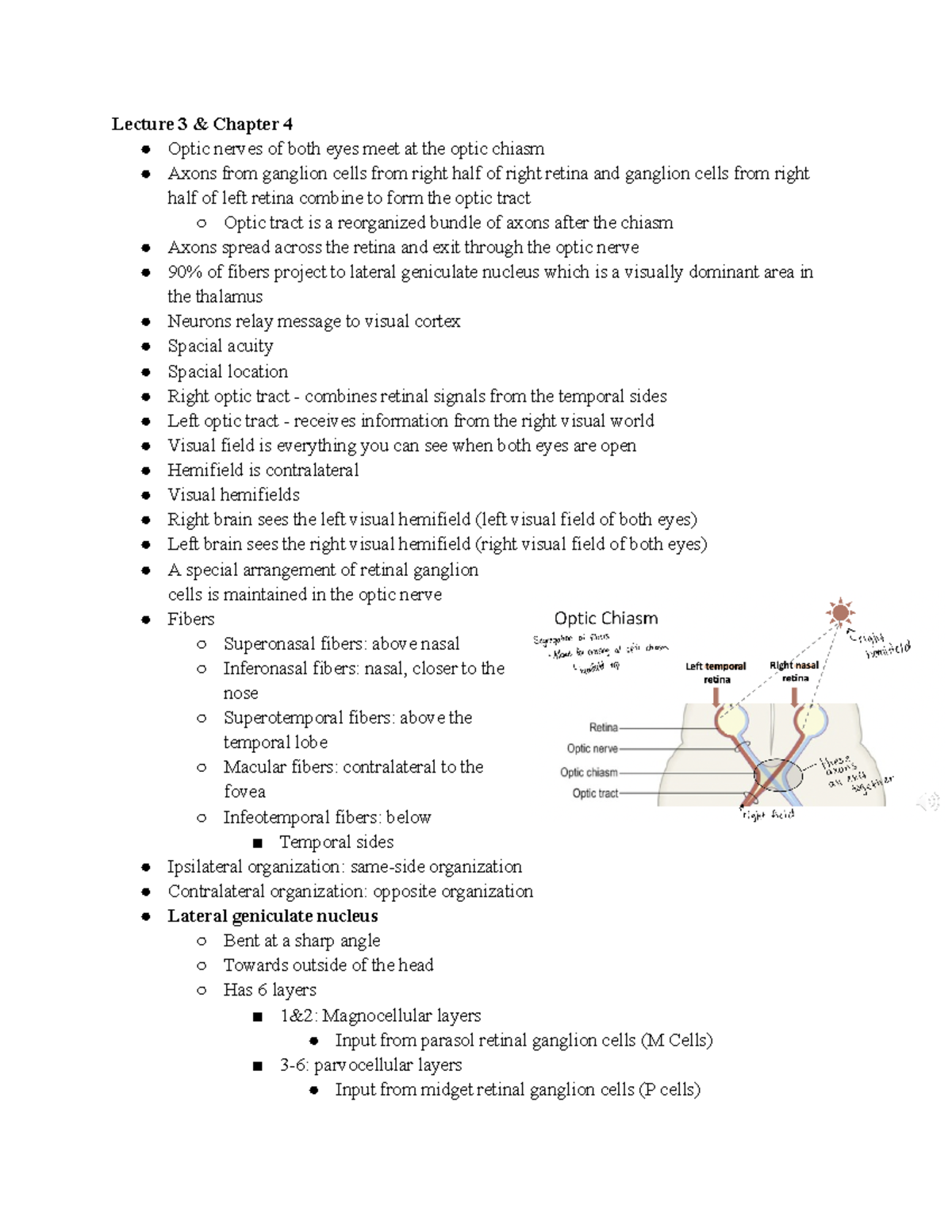 Psych 2115 quiz 2 notes Lecture 3 & Chapter 4 Optic nerves of both