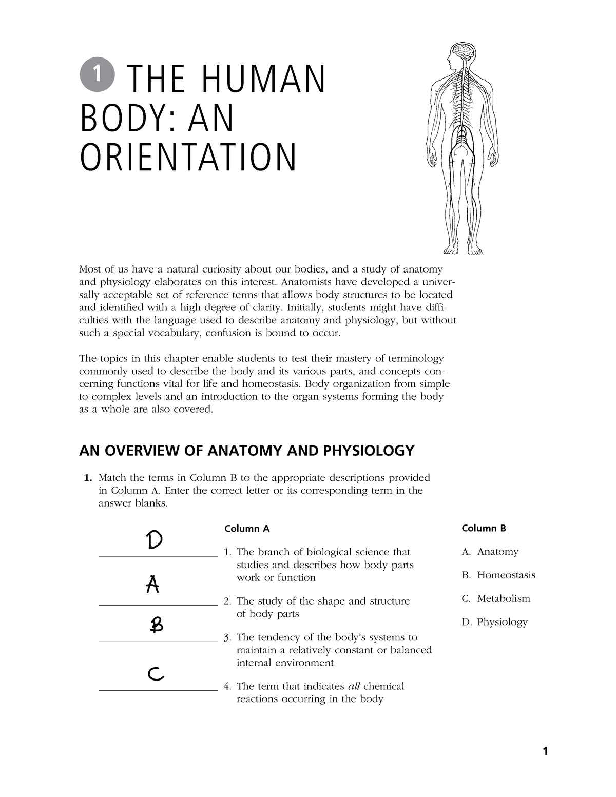 human body and orientation essay