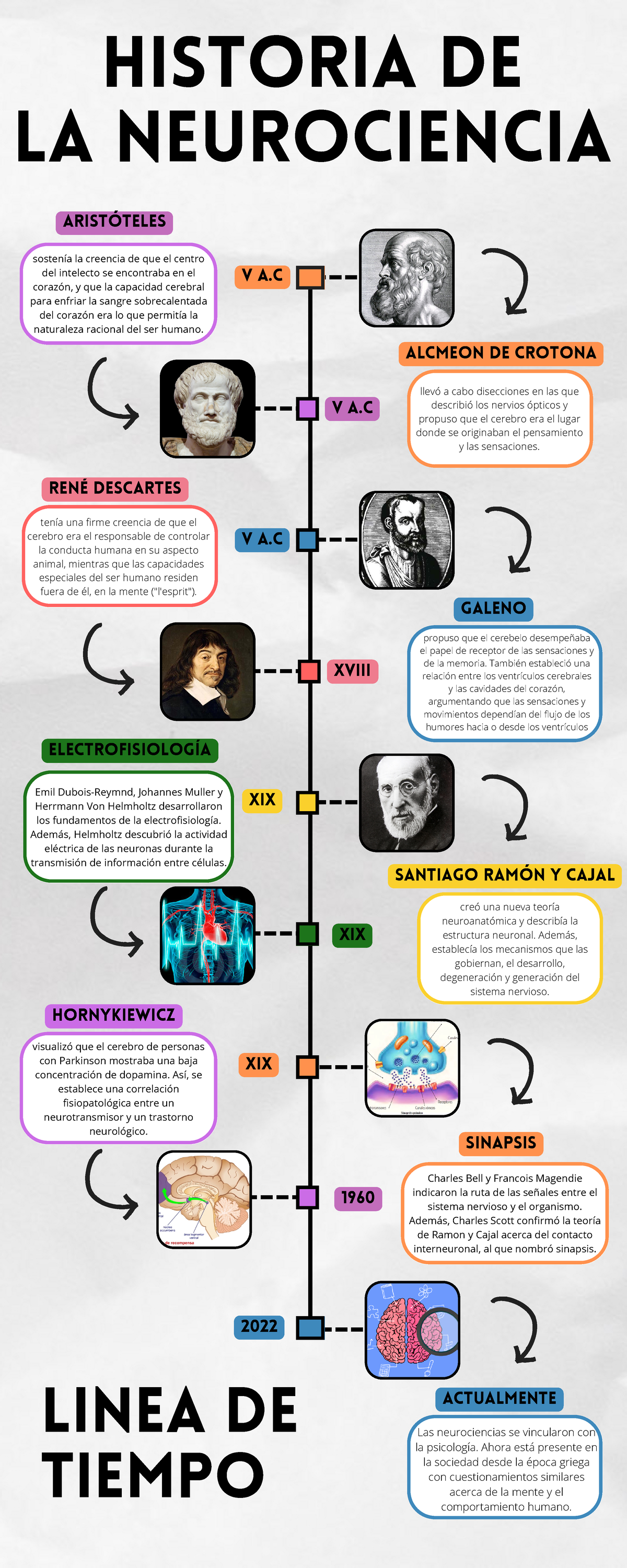 Historia de la neurociencia - Emil Dubois-Reymnd, Johannes Muller y ...