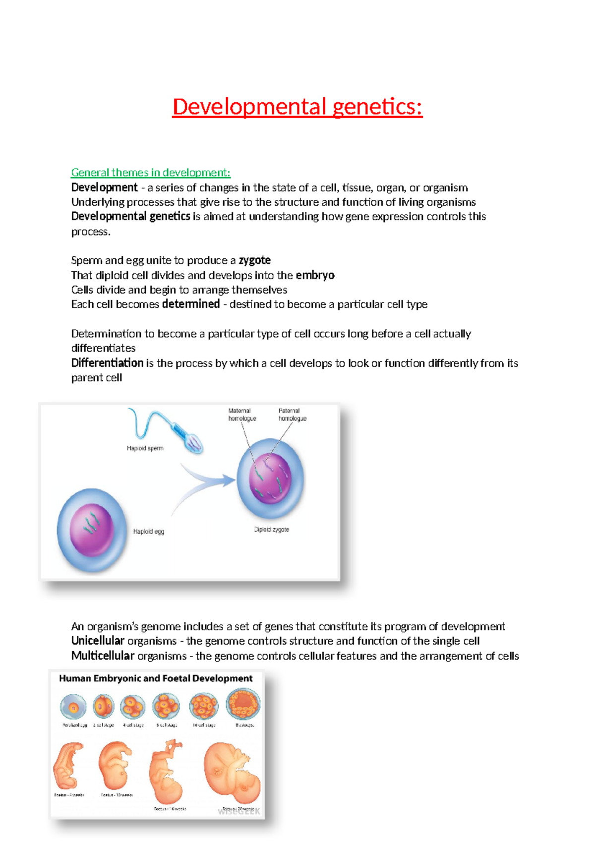 Developmental genetics - Developmental genetics: General themes in ...