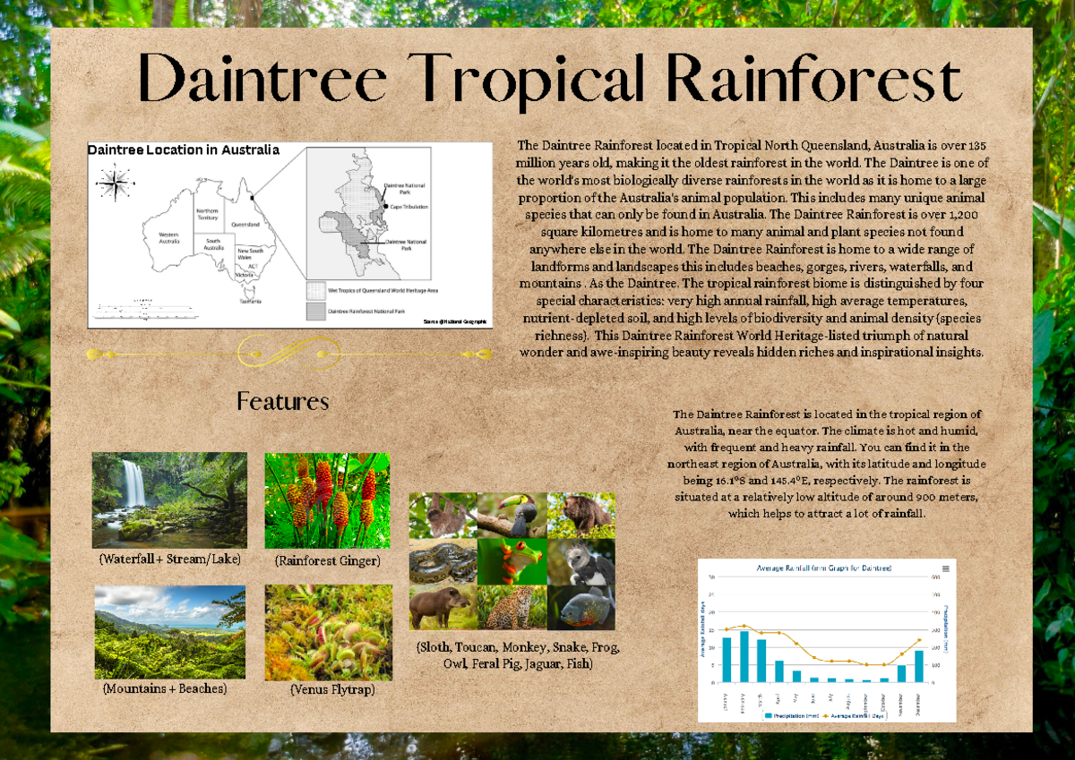 Geographic Broadsheet (297 × 210mm) - Daintree Tropical Rainforest ...