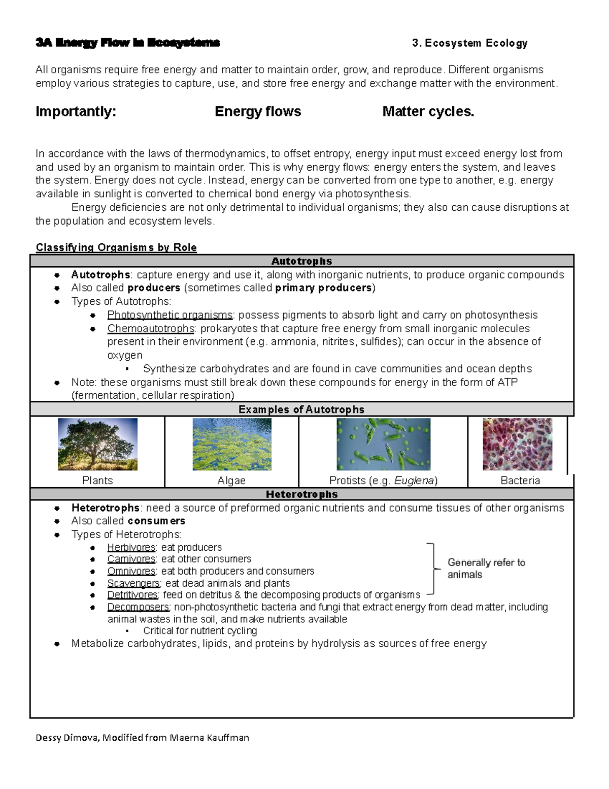 Copy of Module 3. Ecosystem Ecology - 3A Energy Flow in Ecosystems 3 ...